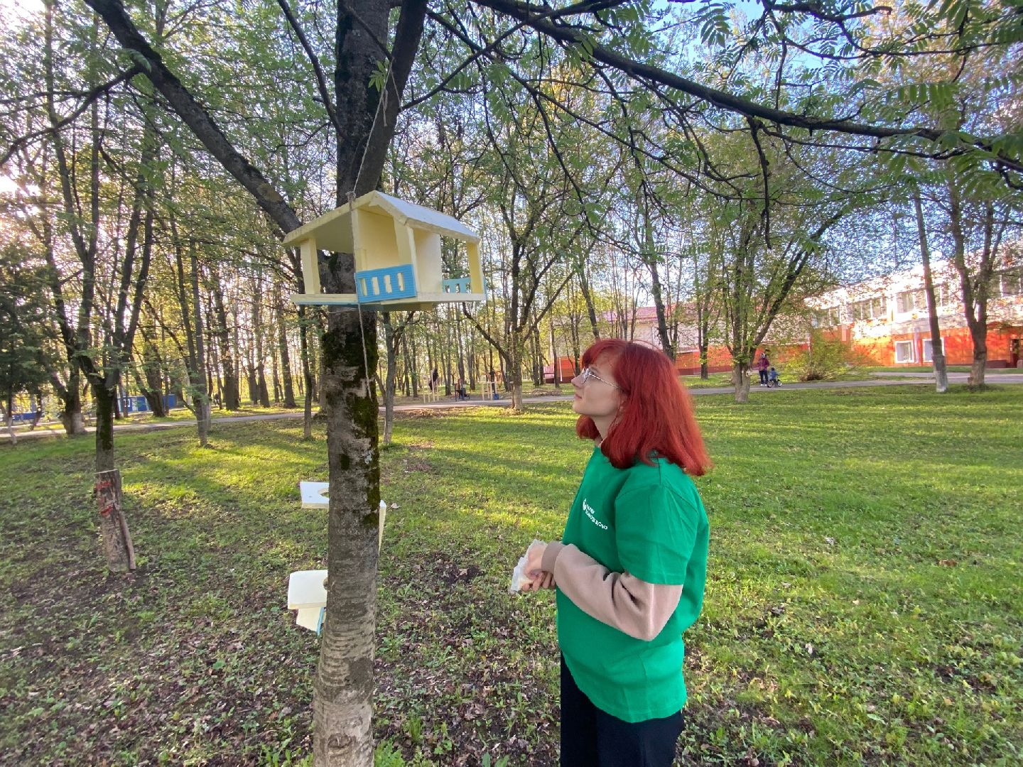 Домодедово, парк, благоустройство, скворечники, птицы