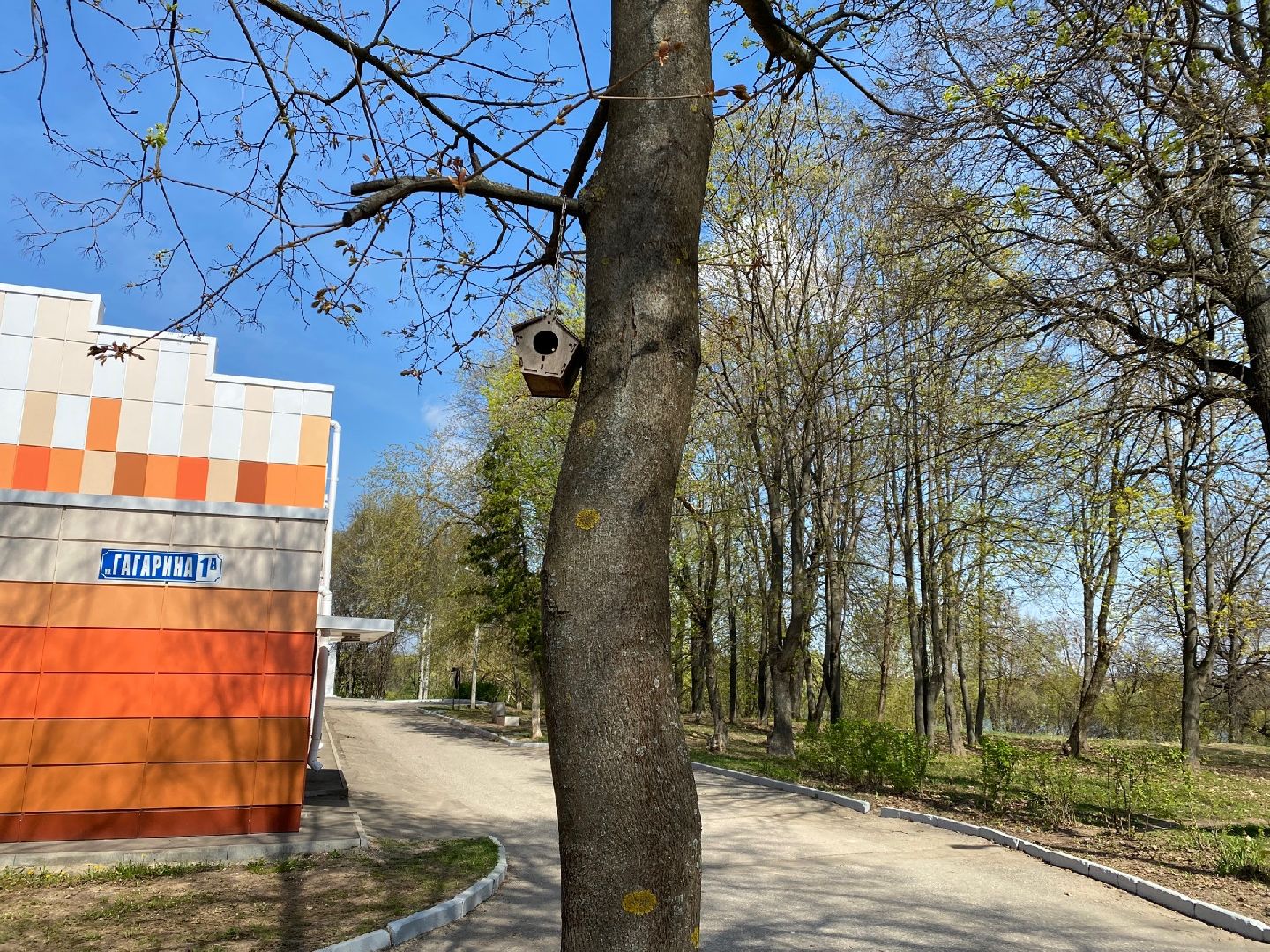 Домодедово, парк, благоустройство, скворечники, птицы