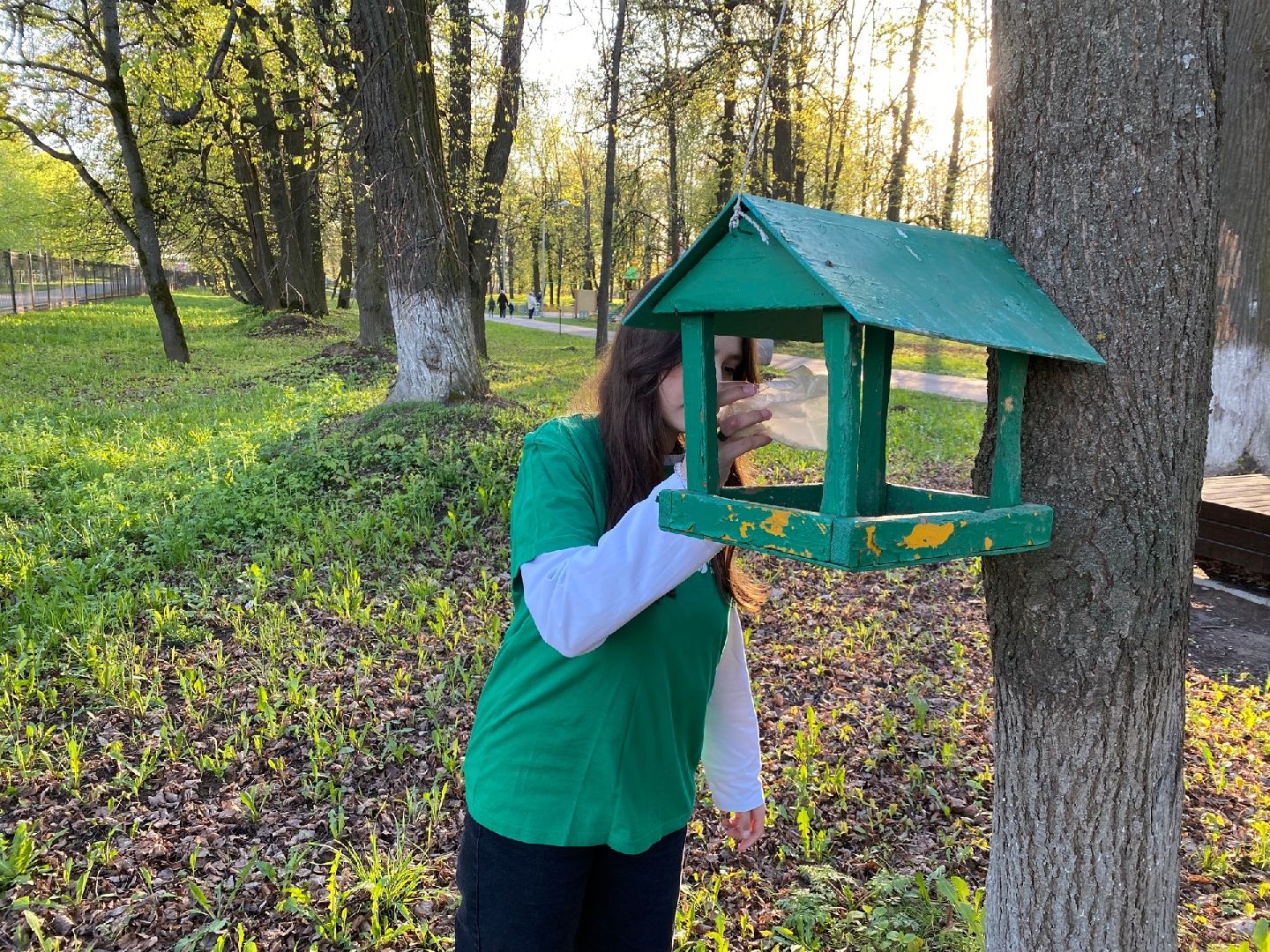 Домодедово, парк, благоустройство, скворечники, птицы