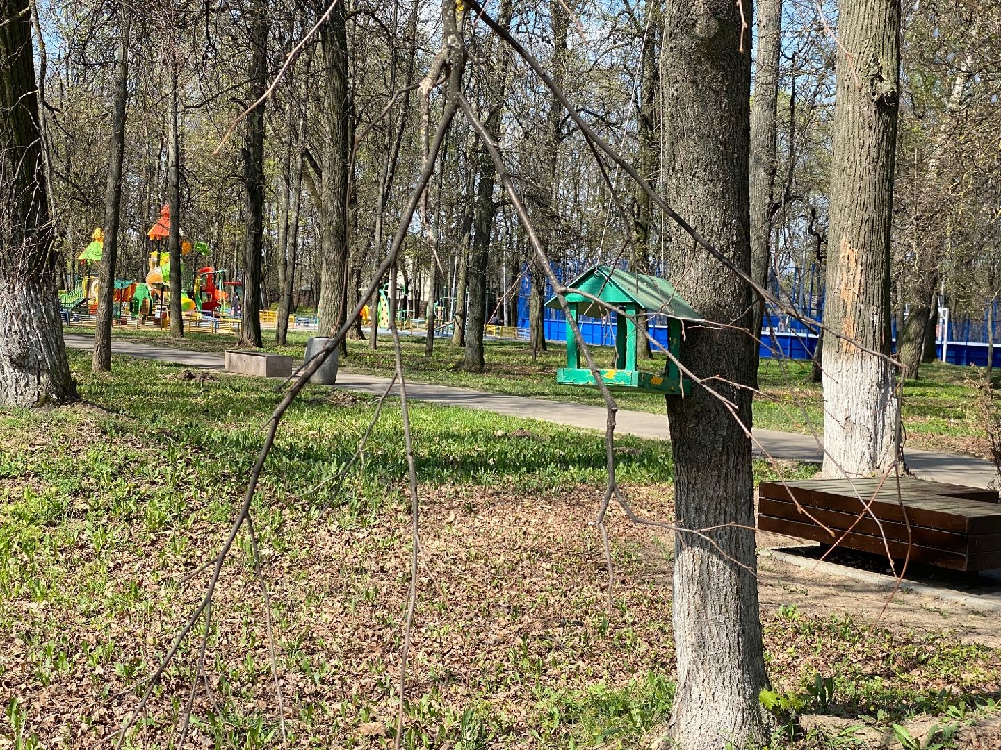 Домодедово, парк, благоустройство, скворечники, птицы