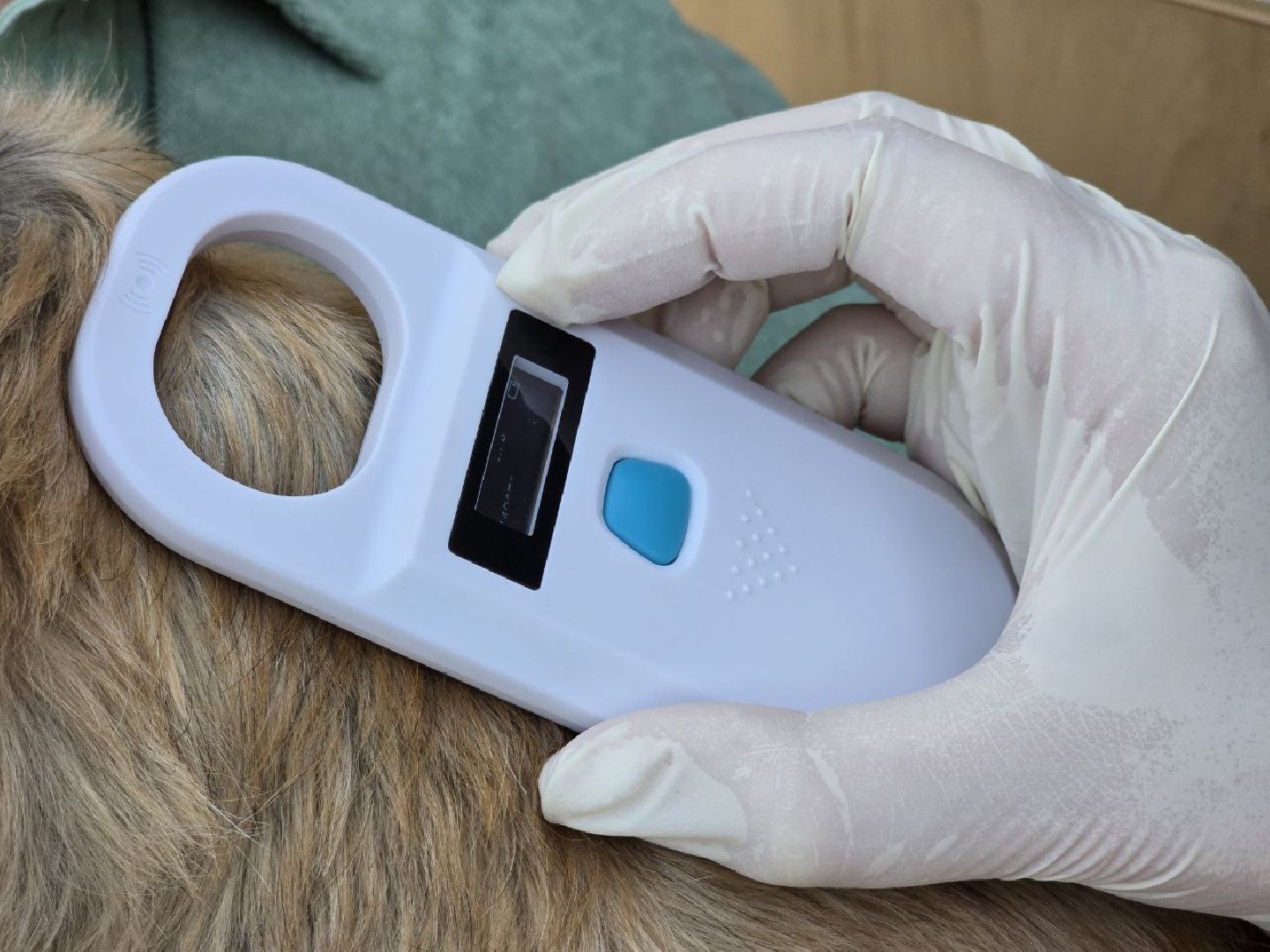 можайск, можайский муниципальный округ, подмосковье, регистрация животных, домашние животные, ветеринарная клиника, ветврач,