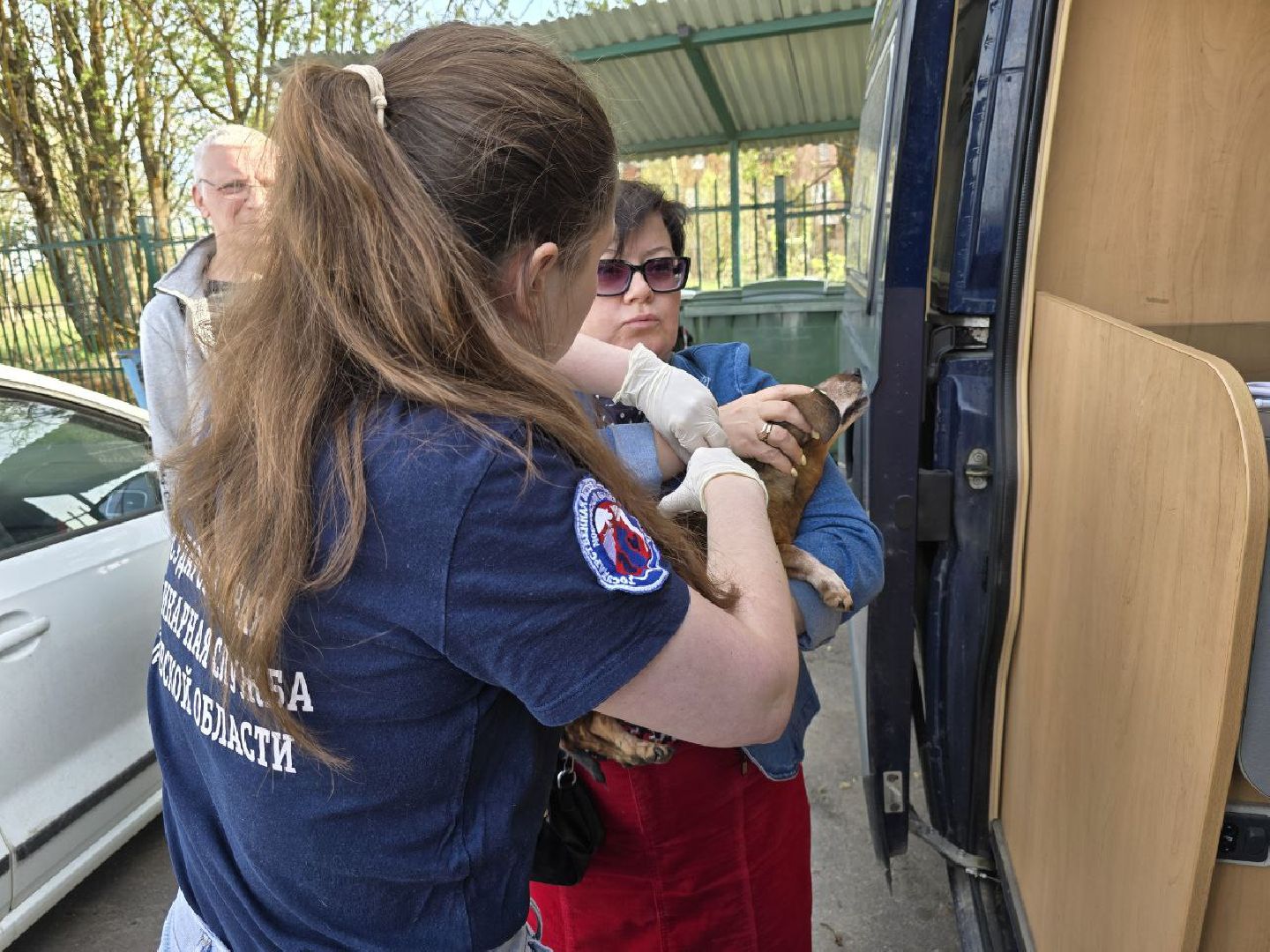 можайск, можайский муниципальный округ, подмосковье, регистрация животных, домашние животные, ветеринарная клиника, ветврач,