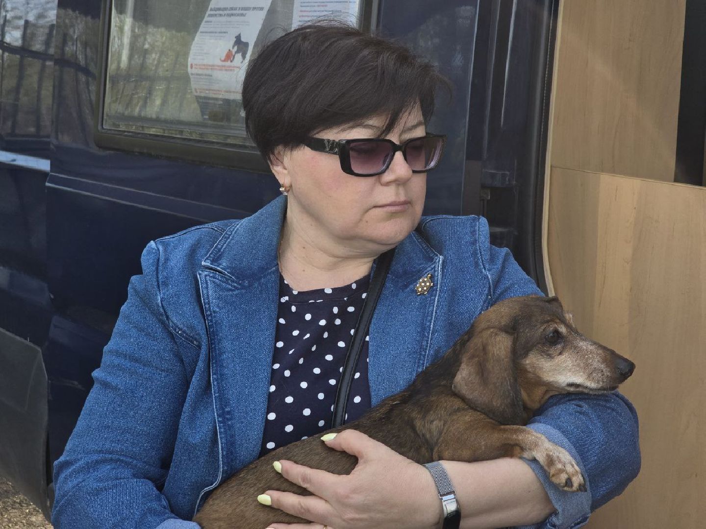 можайск, можайский муниципальный округ, подмосковье, регистрация животных, домашние животные, ветеринарная клиника, ветврач,