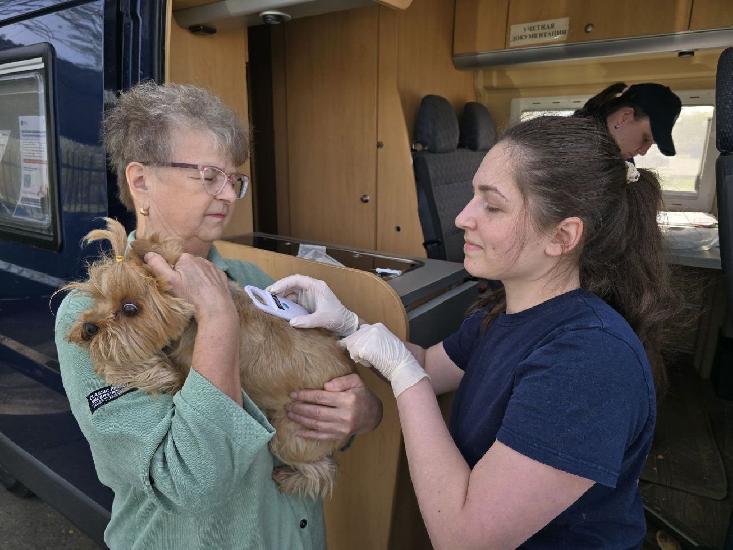 можайск, можайский муниципальный округ, подмосковье, регистрация животных, домашние животные, ветеринарная клиника, ветврач,