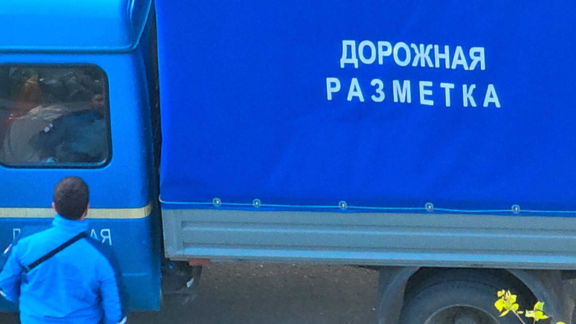 разметка, пешеходный переход,