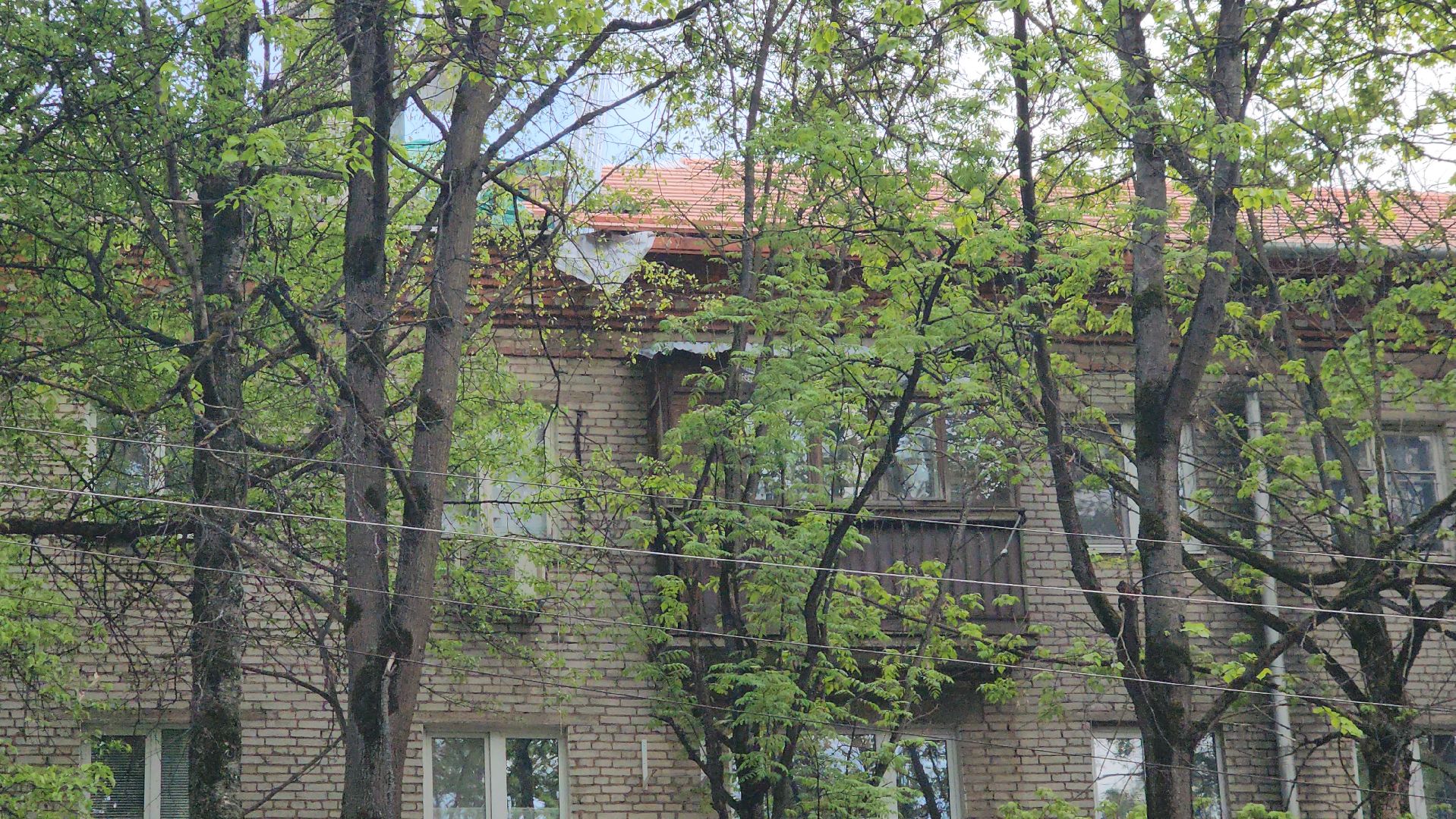 пушкино, капитальный  ремонт, ремонт крыши, подрядная организация, кровля мкд ремонт, жилой дом,