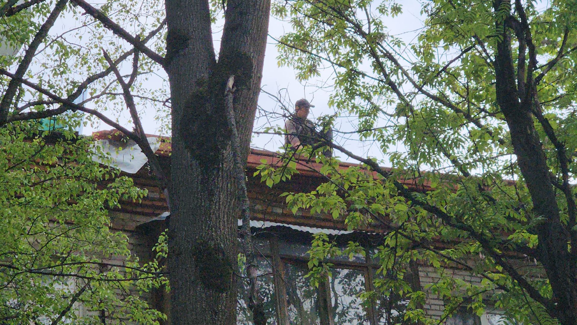 пушкино, капитальный  ремонт, ремонт крыши, подрядная организация, кровля мкд ремонт, жилой дом,