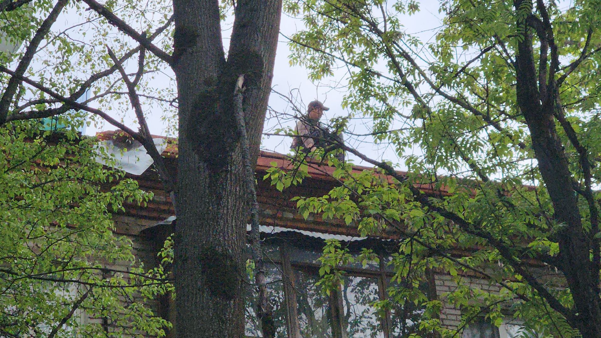 пушкино, капитальный  ремонт, ремонт крыши, подрядная организация, кровля мкд ремонт, жилой дом,