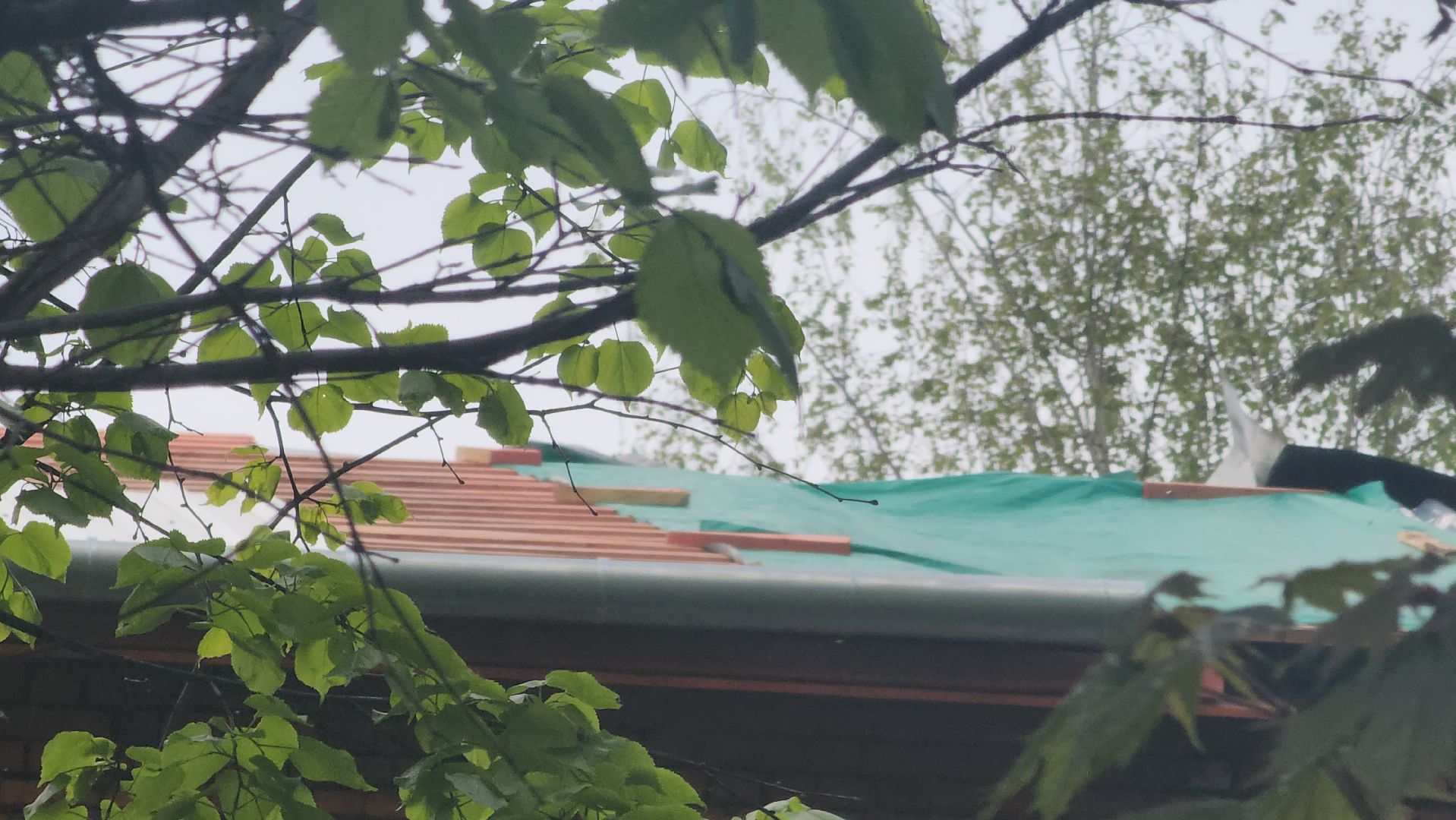 пушкино, капитальный  ремонт, ремонт крыши, подрядная организация, кровля мкд ремонт, жилой дом,