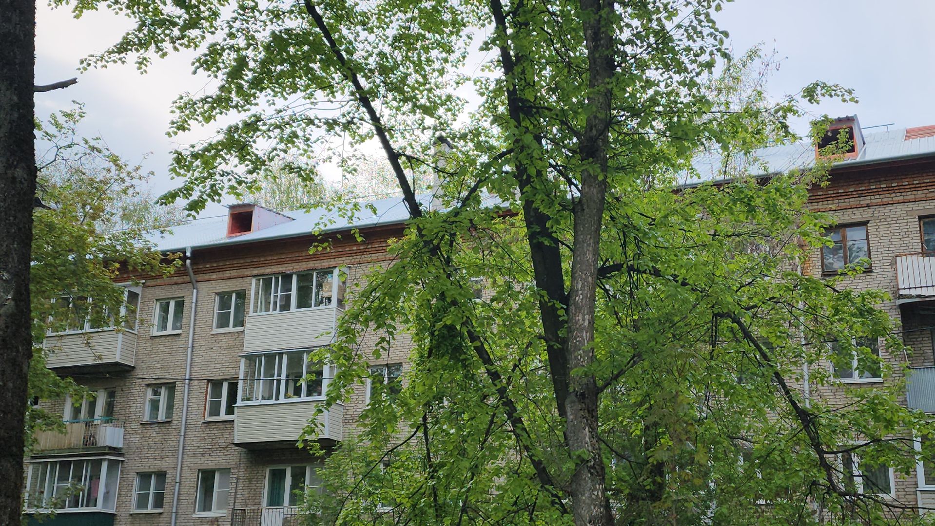 пушкино, капитальный  ремонт, ремонт крыши, подрядная организация, кровля мкд ремонт, жилой дом,