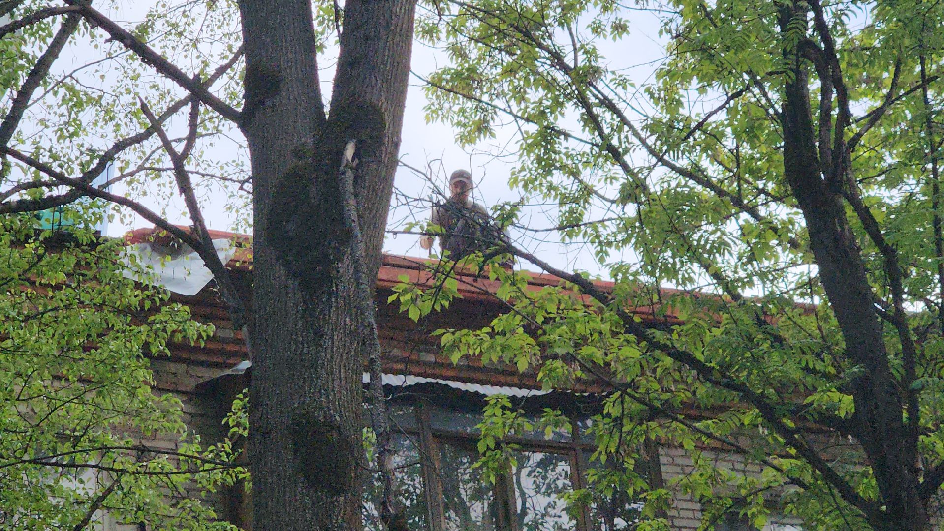 пушкино, капитальный  ремонт, ремонт крыши, подрядная организация, кровля мкд ремонт, жилой дом,