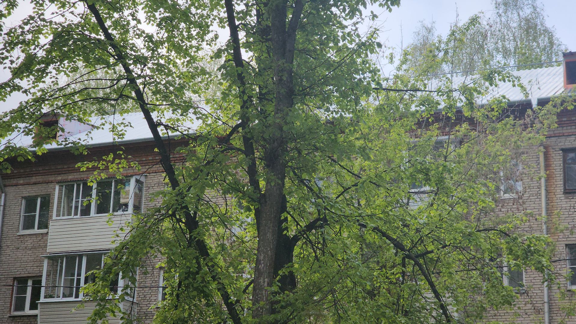 пушкино, капитальный  ремонт, ремонт крыши, подрядная организация, кровля мкд ремонт, жилой дом,