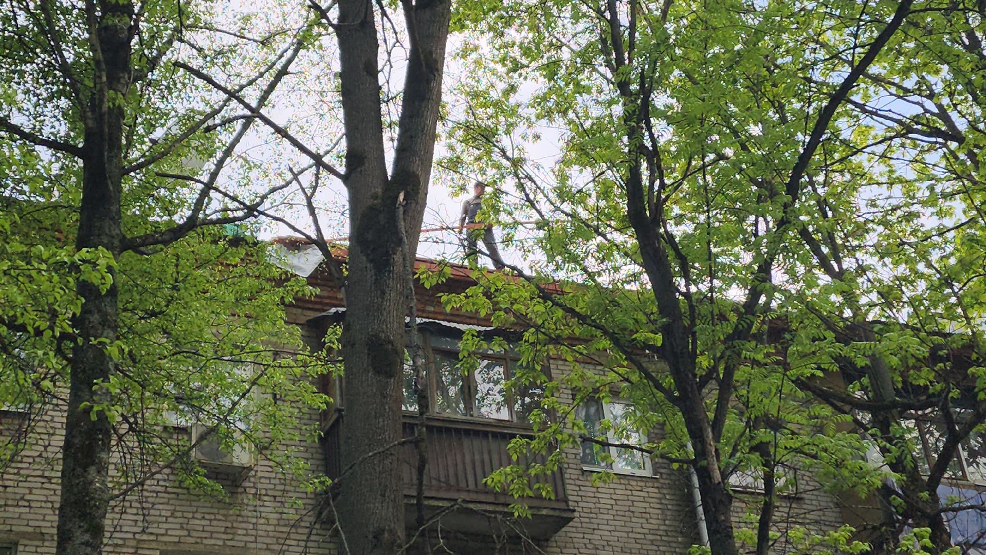 пушкино, капитальный  ремонт, ремонт крыши, подрядная организация, кровля мкд ремонт, жилой дом,