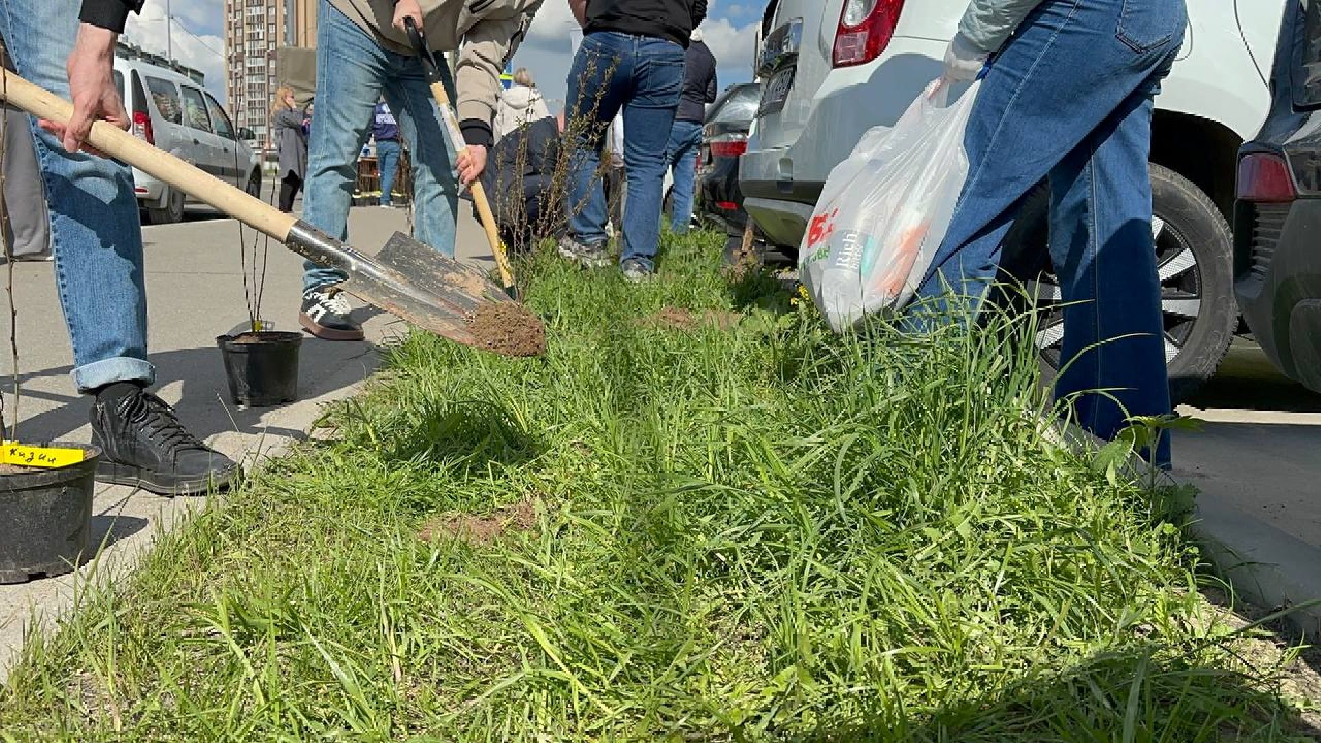 домодедово, сад памяти, акция, микрорайон южный,