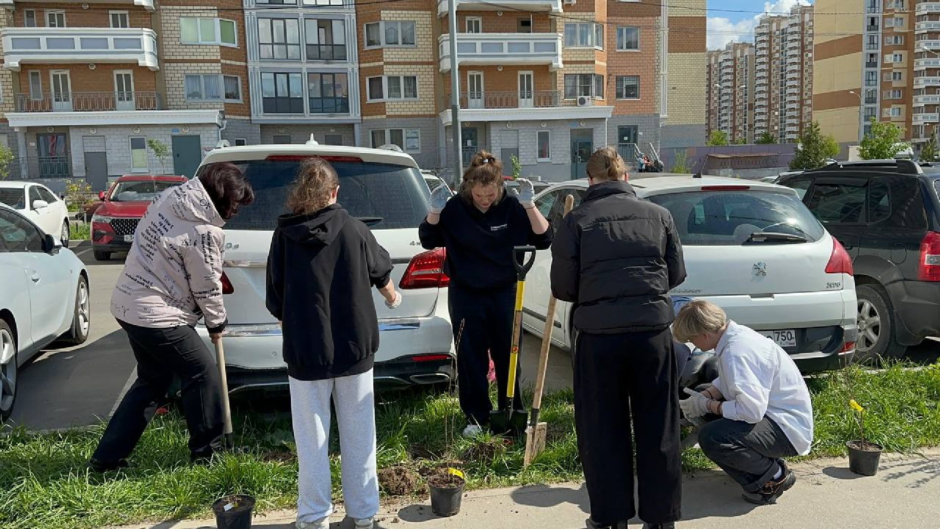 домодедово, сад памяти, акция, микрорайон южный,