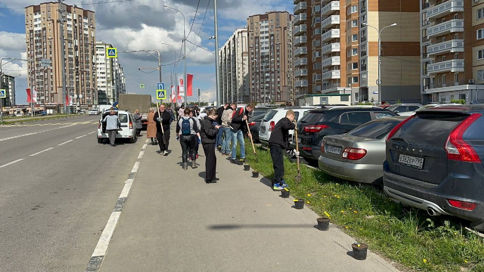 домодедово, сад памяти, акция, микрорайон южный,