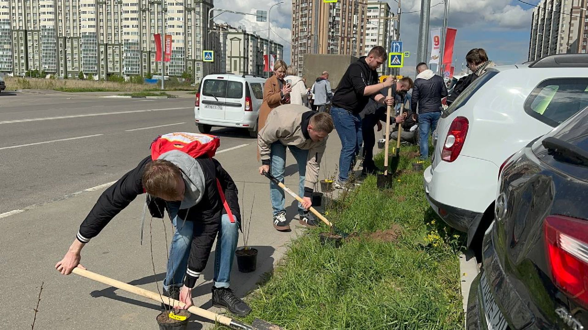 домодедово, сад памяти, акция, микрорайон южный,