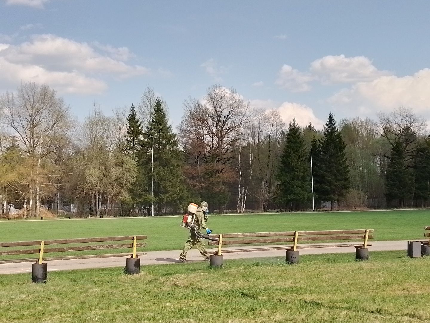 благоустройство, городской округ восход, клещи, обработка от клещей,