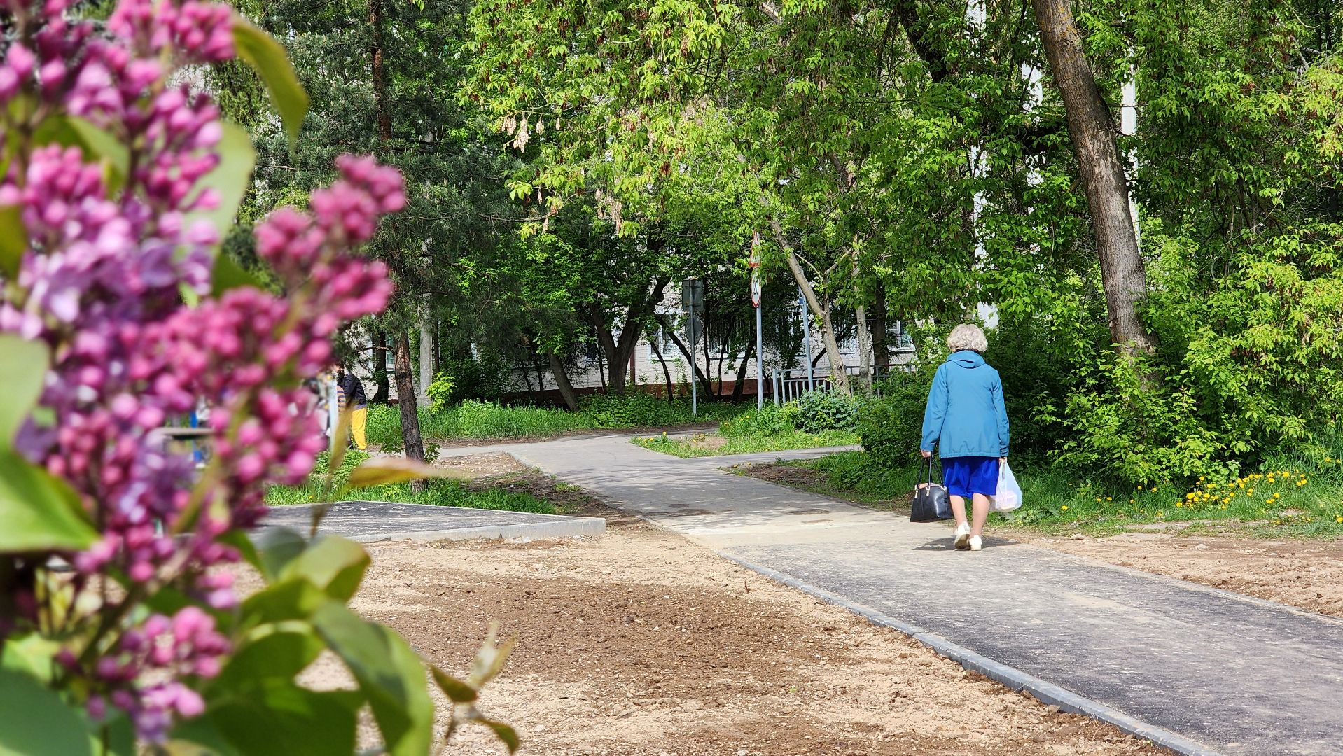 благоустройство, дворовая территория, лосино-петровский,