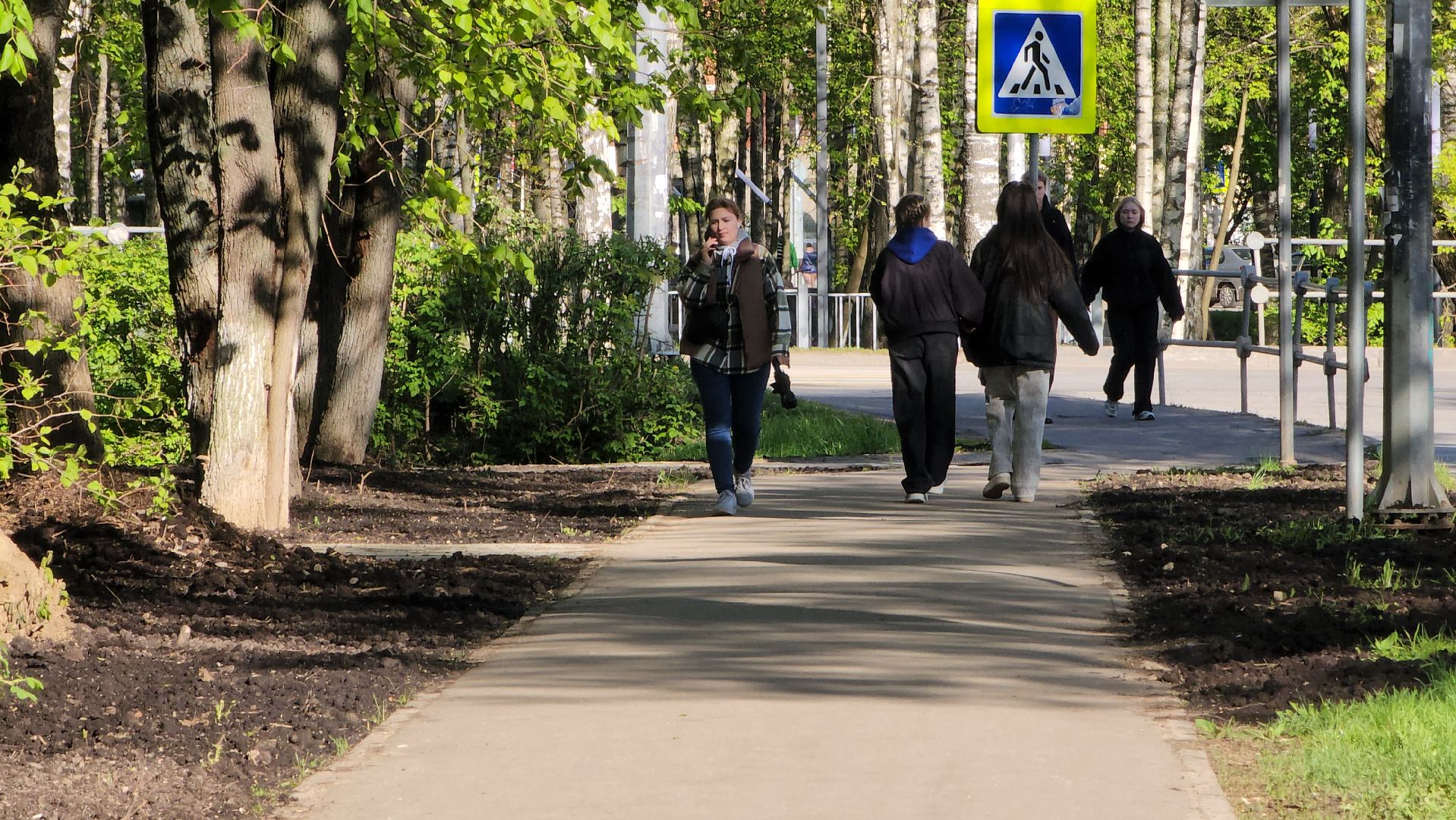 Газон, Благоустройство , Лобня,