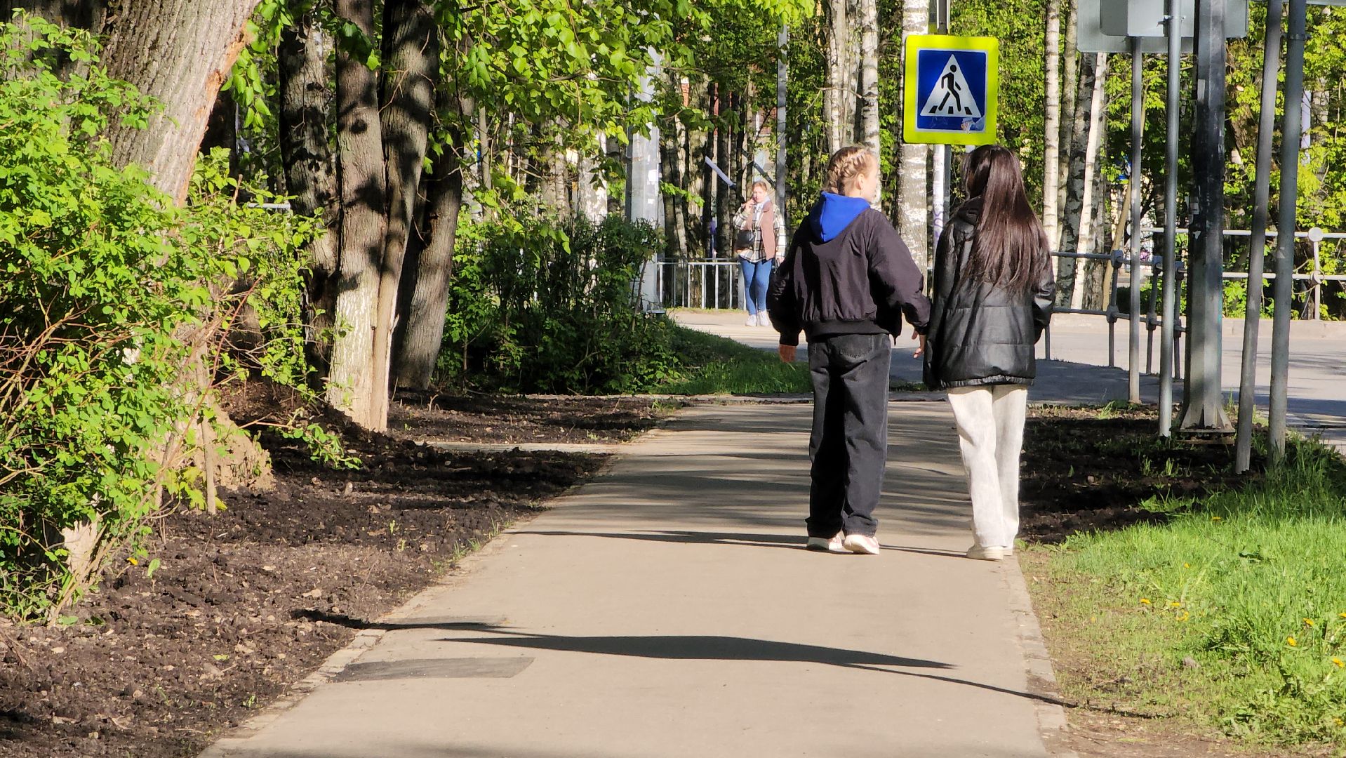 Газон, Благоустройство , Лобня,