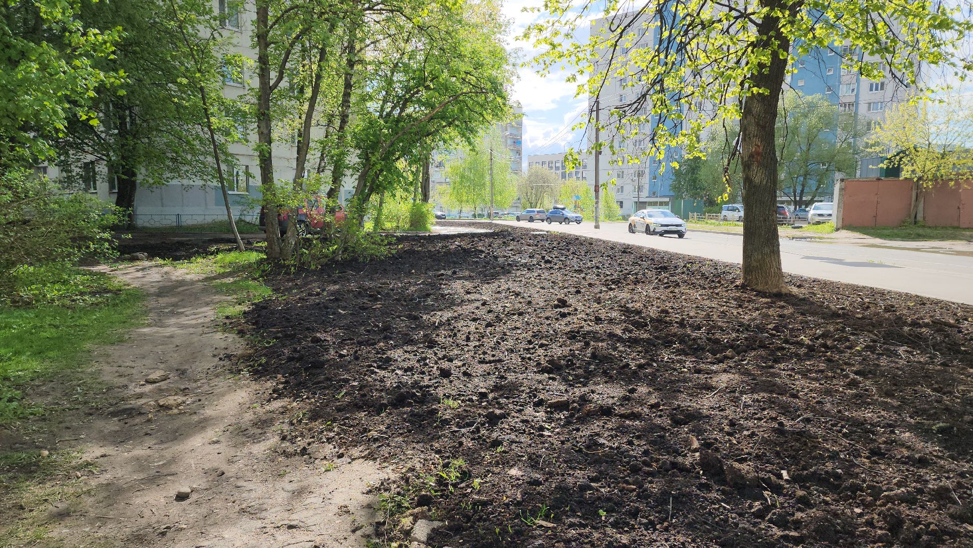 Газон, Благоустройство , Лобня,