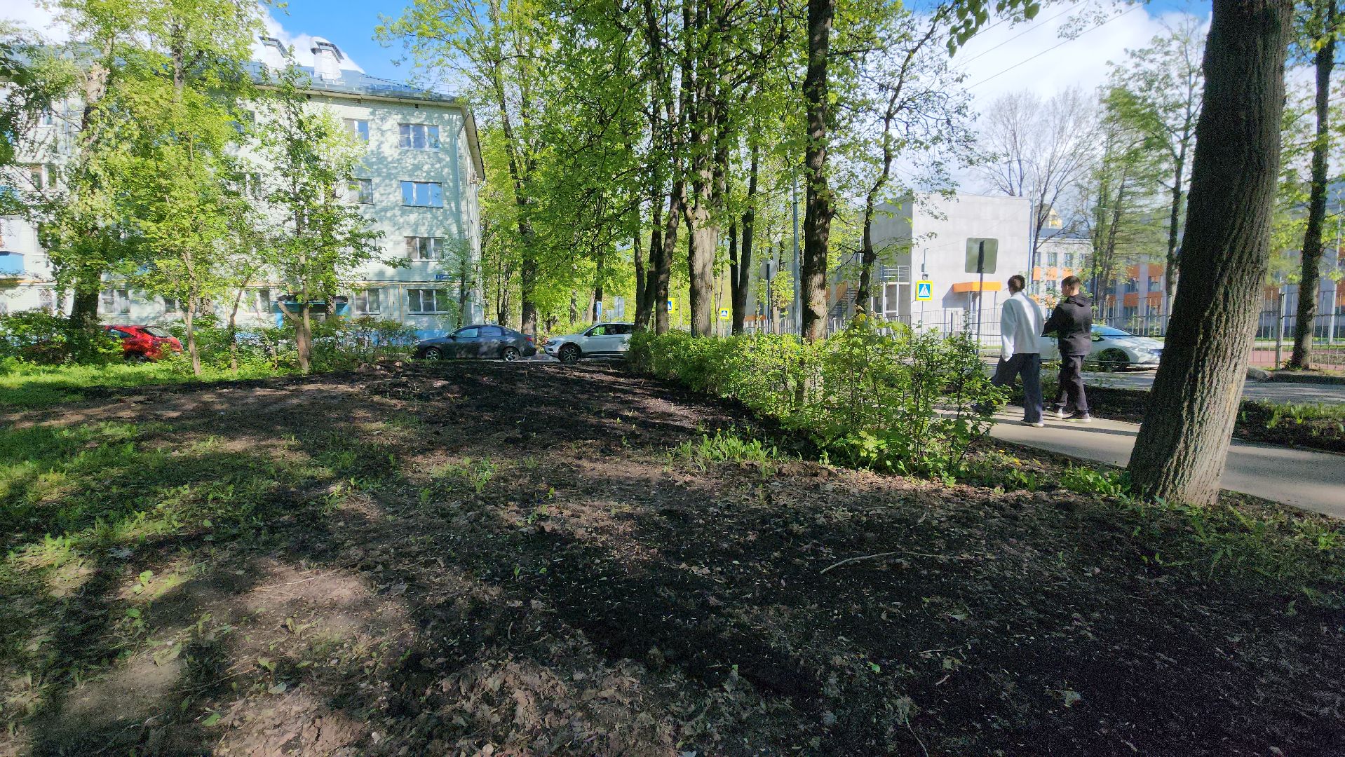 Газон, Благоустройство , Лобня,