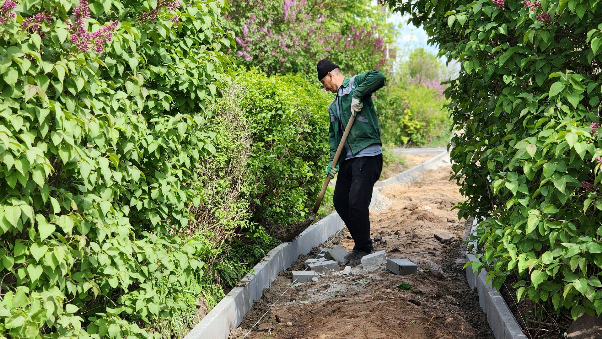 благоустройство, комплексное благоустройство двора, лосино-петровский,