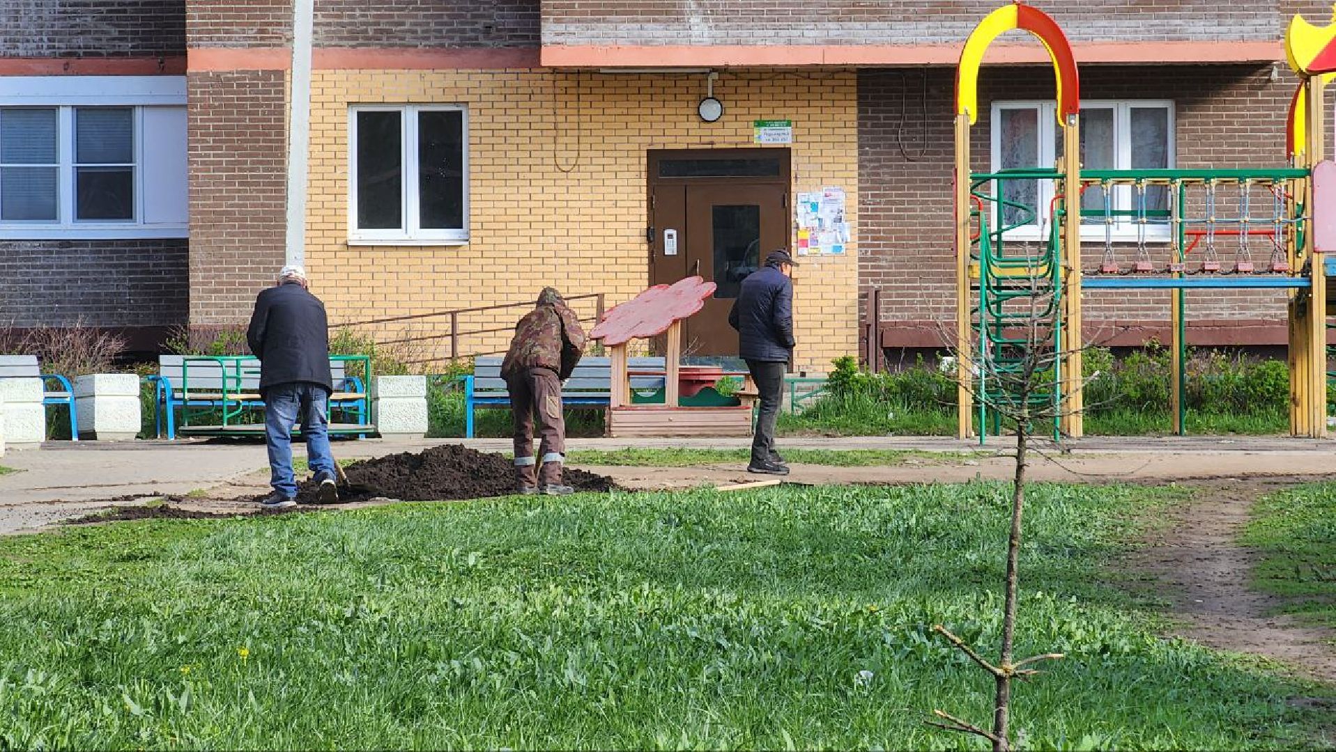 благоустройство, газон, лосино-петровский,