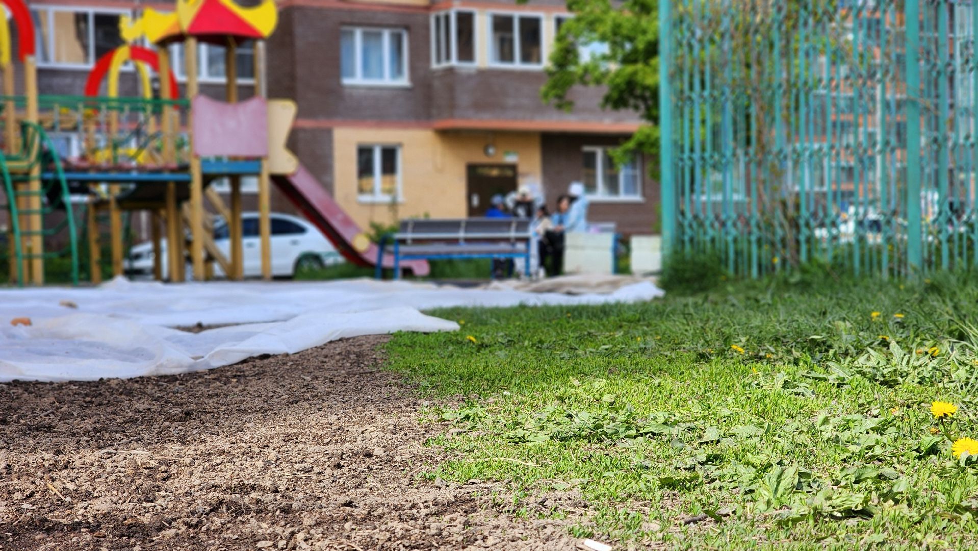 благоустройство, газон, лосино-петровский,