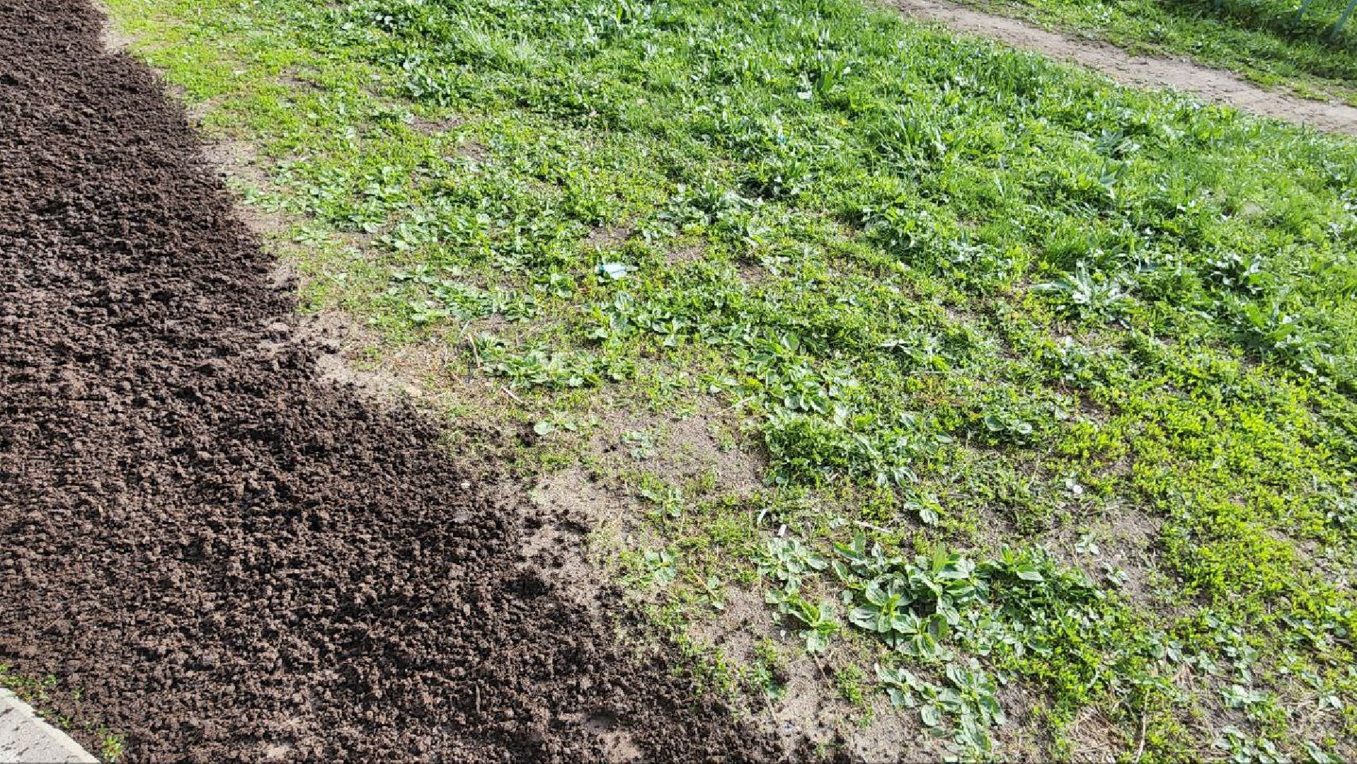 благоустройство, газон, лосино-петровский,