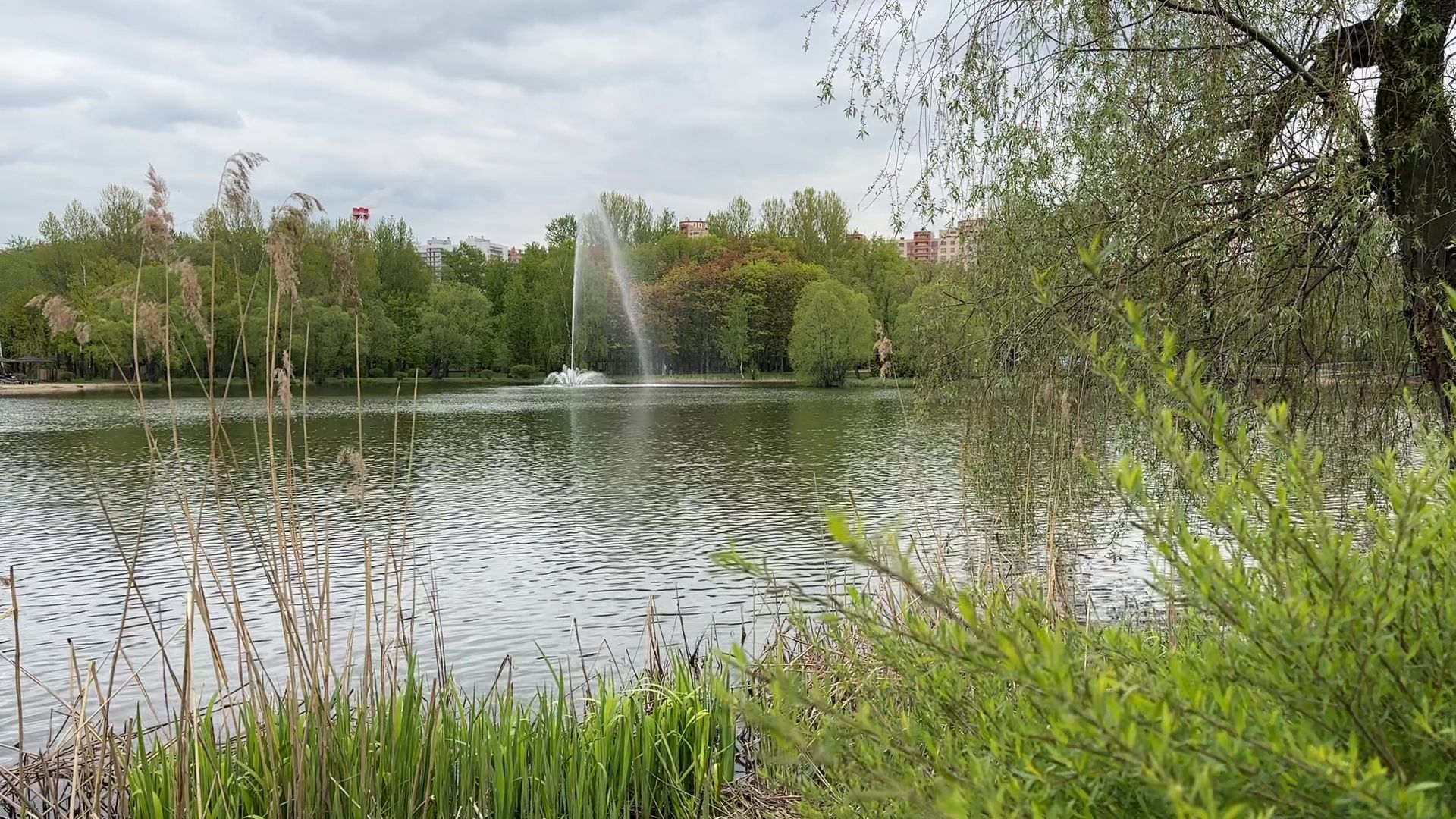 реутов, фонтаны, сезон фонтанов, парк, вода,