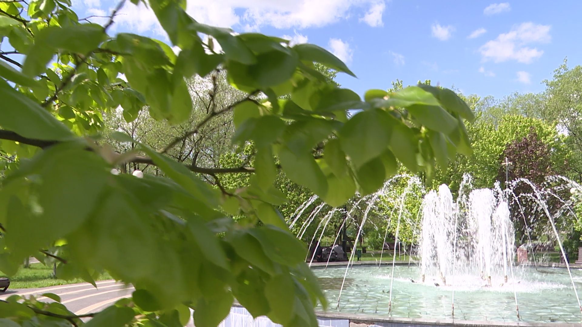 реутов, фонтаны, сезон фонтанов, парк, вода,