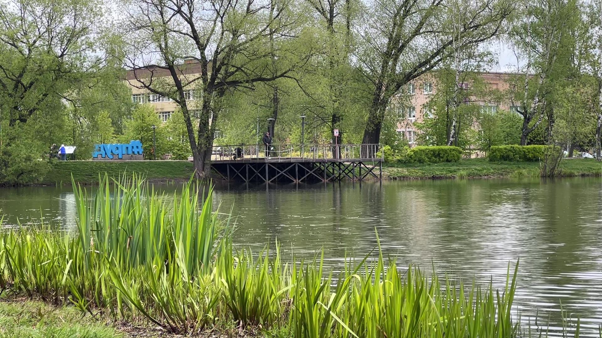 реутов, фонтаны, сезон фонтанов, парк, вода,