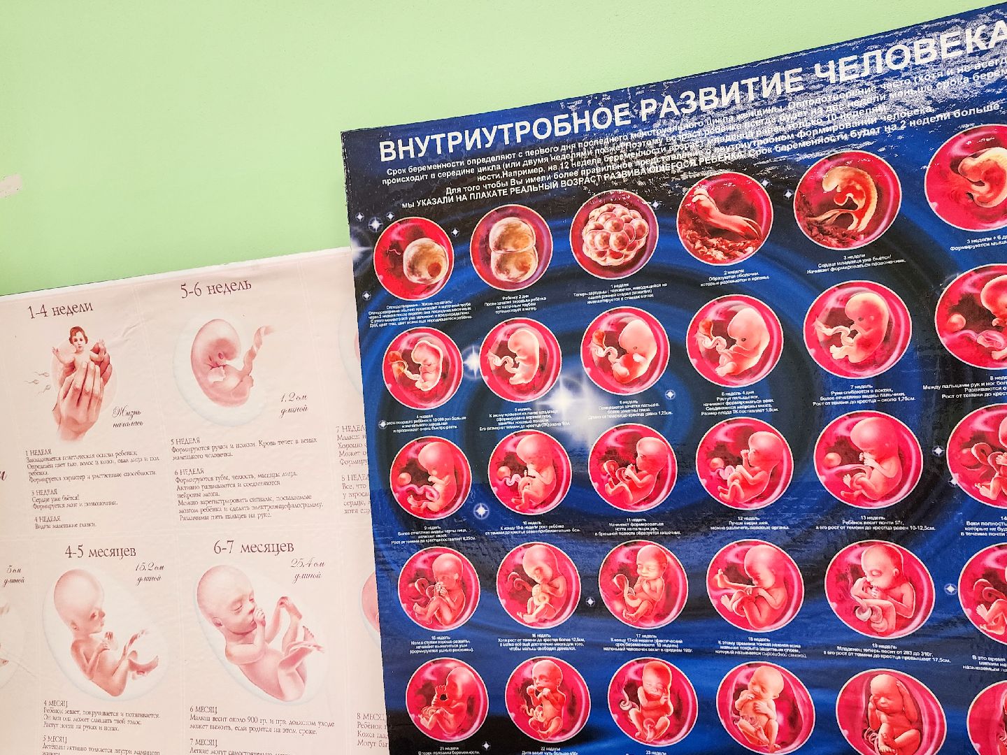 Подольск, будущие мамы, школа будущих матерей, покб, медицина,беременность,