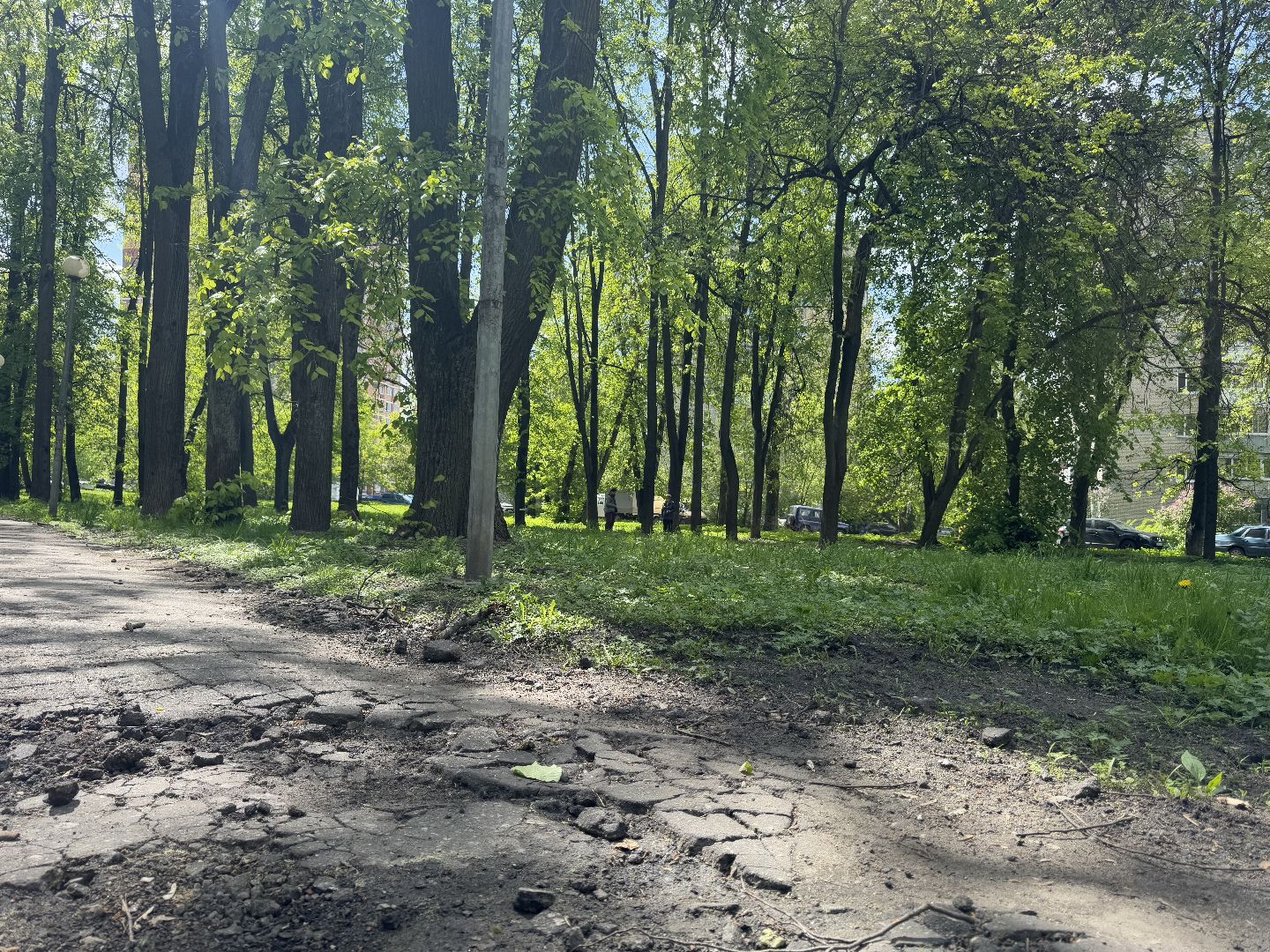 благоустройство, сквер по улице крупешина, балашиха,