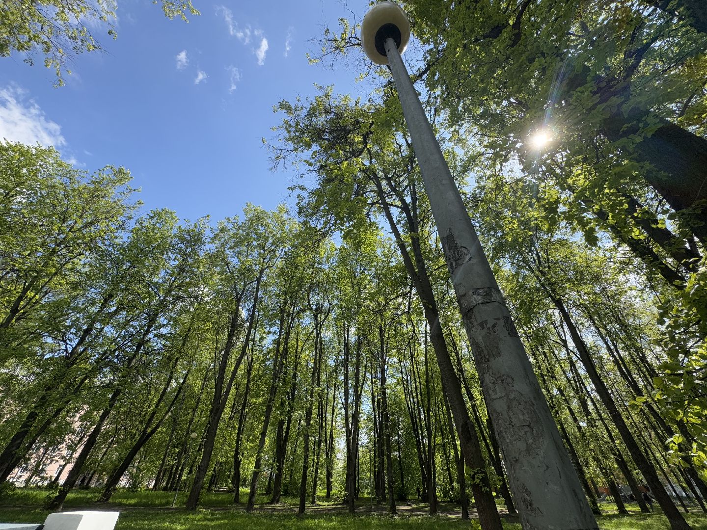 благоустройство, сквер по улице крупешина, балашиха,