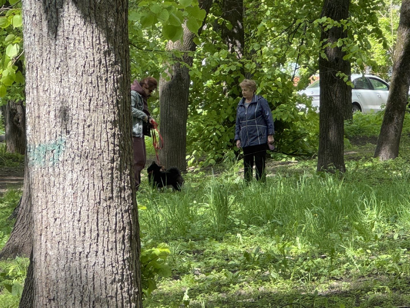 благоустройство, сквер по улице крупешина, балашиха,