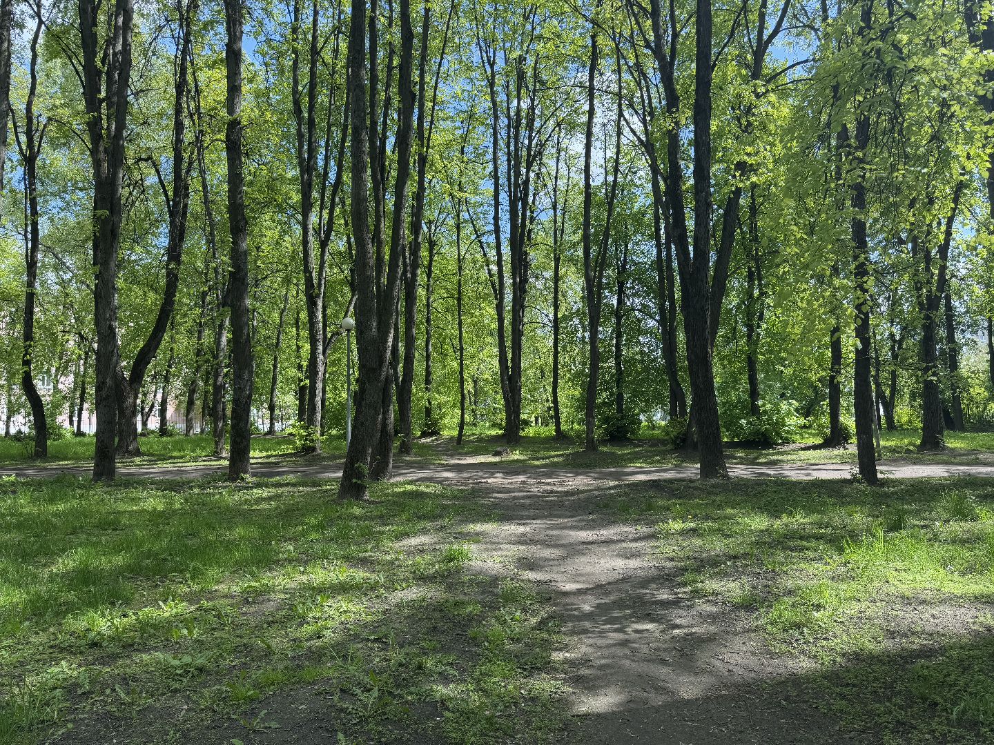 благоустройство, сквер по улице крупешина, балашиха,