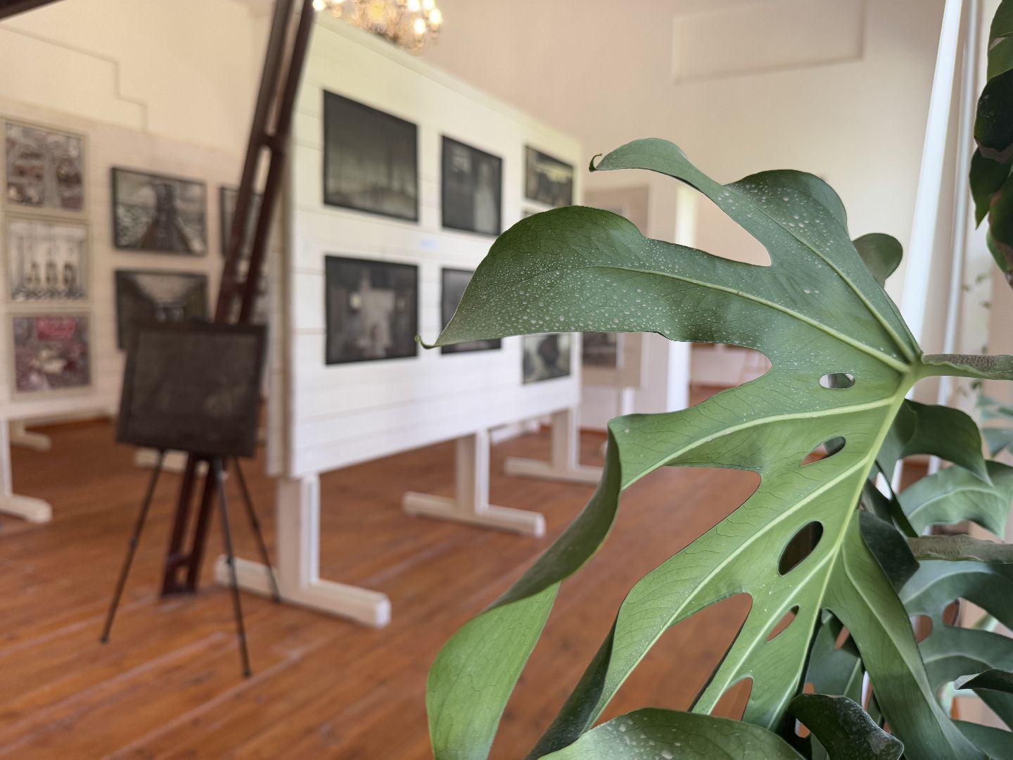 искусство памяти, балашиха, выставка в усадьбе горенки,