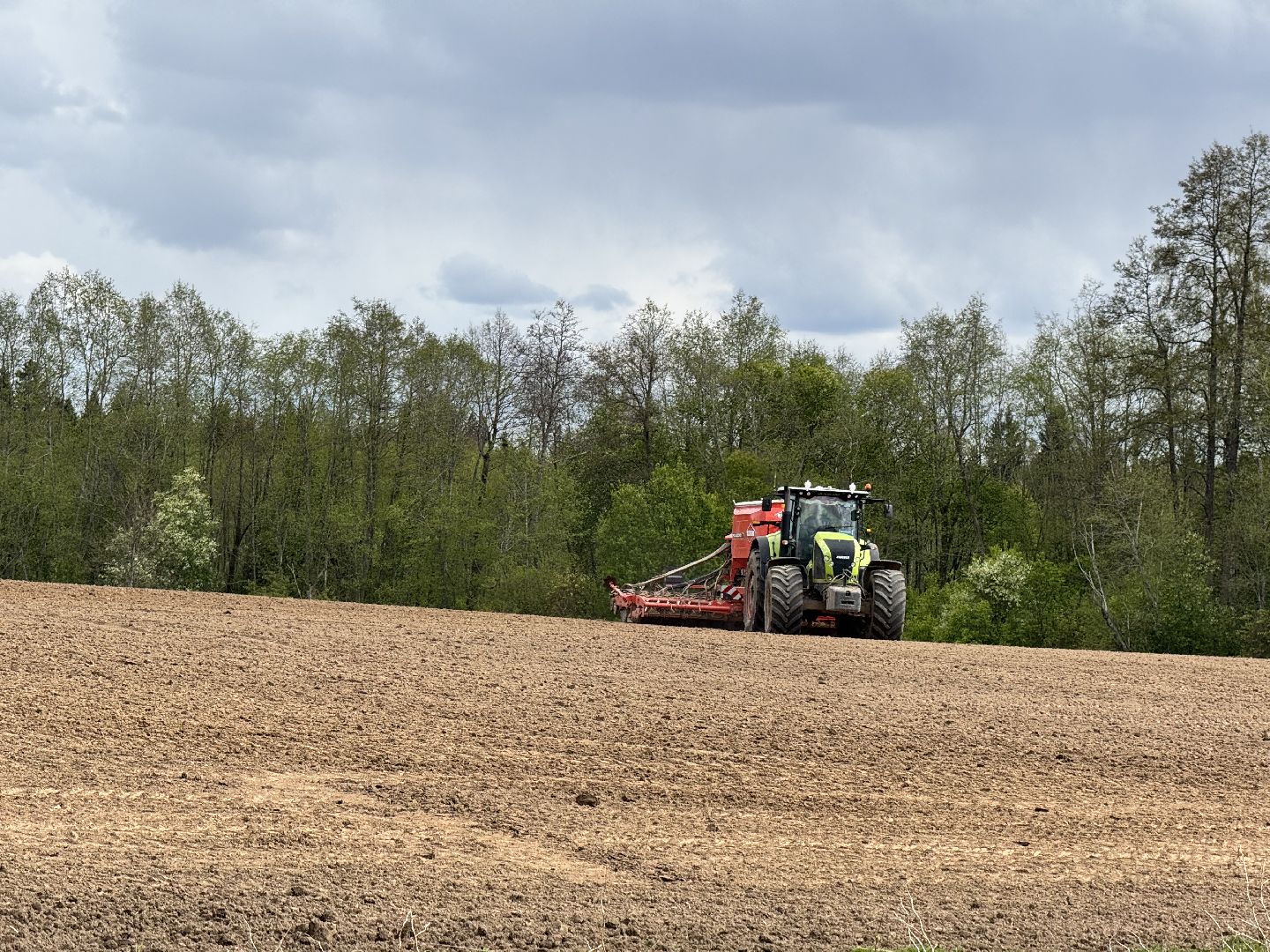 шаховская, северная ходьба, посевная,кукуруза,