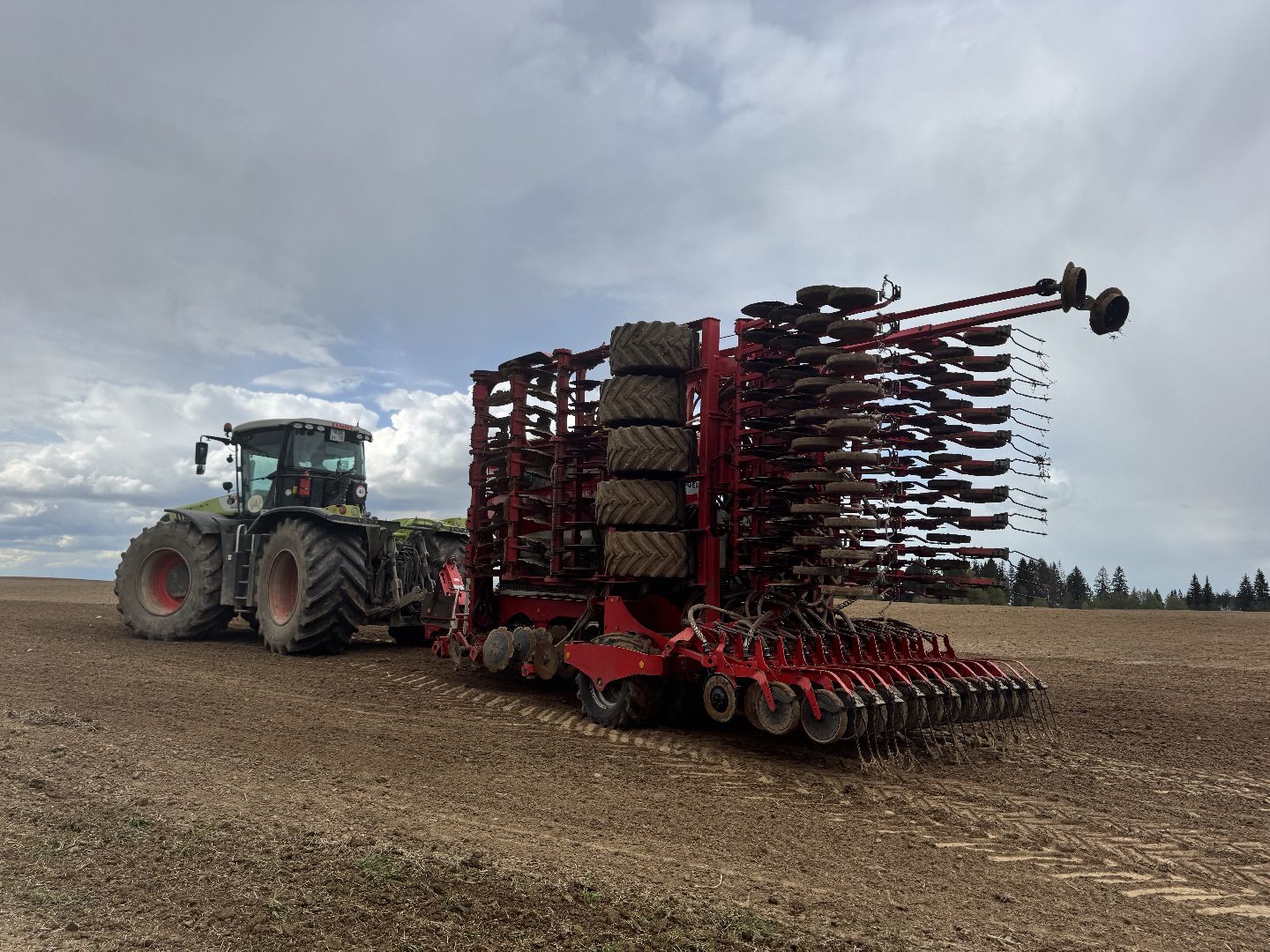 шаховская, северная ходьба, посевная,кукуруза,