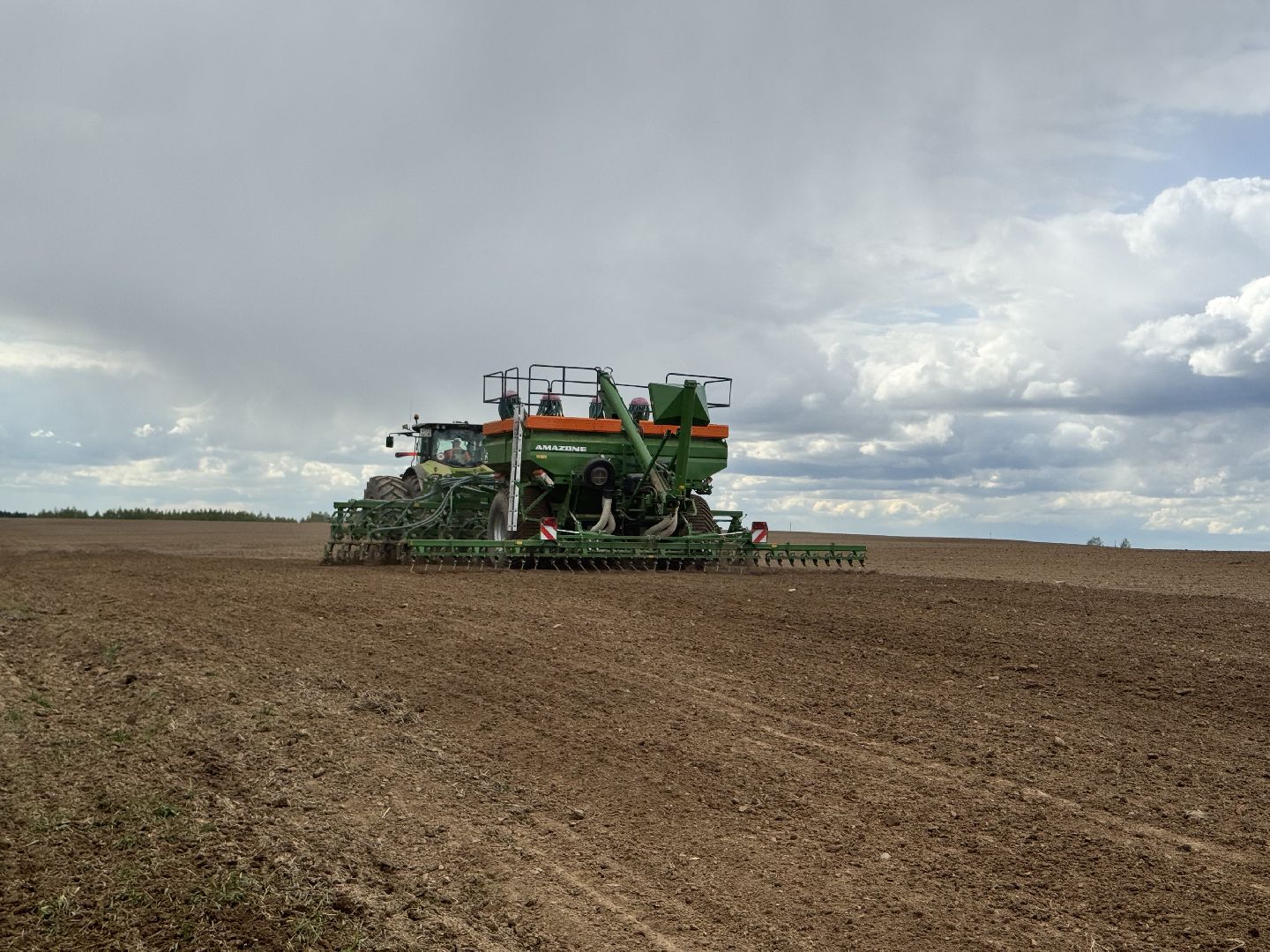 шаховская, северная ходьба, посевная,кукуруза,