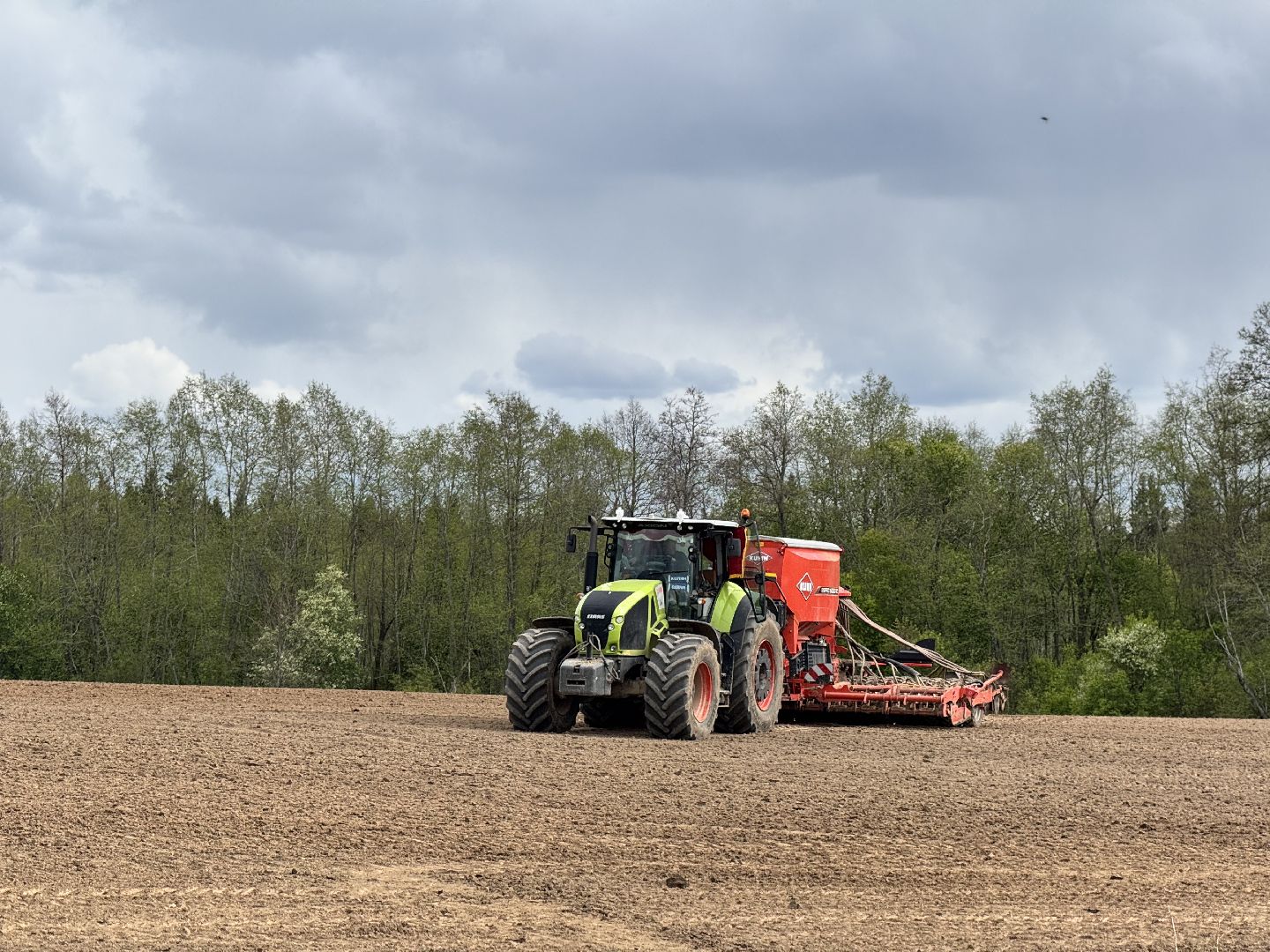 шаховская, северная ходьба, посевная,кукуруза,