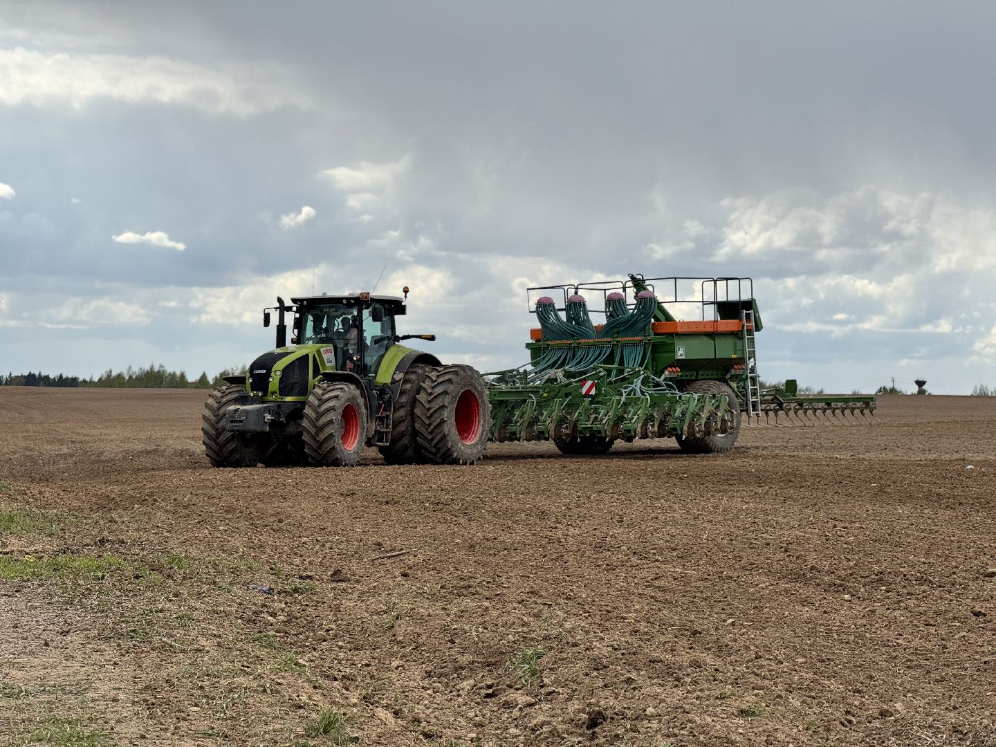 шаховская, северная ходьба, посевная,кукуруза,