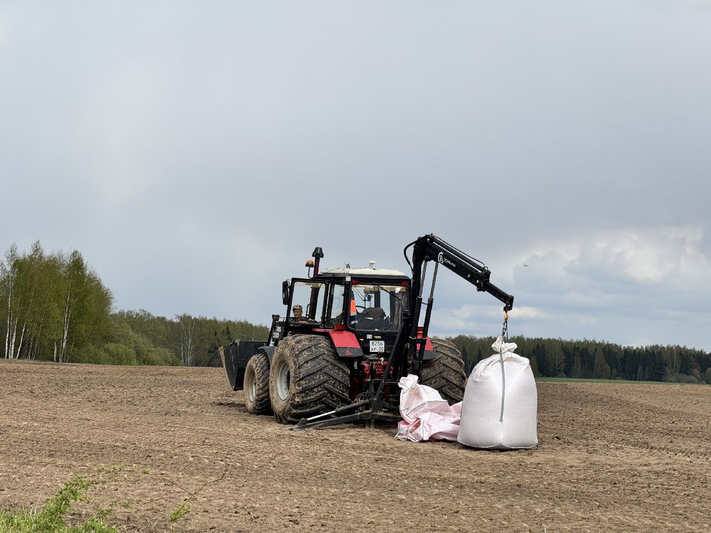 шаховская, северная ходьба, посевная,кукуруза,