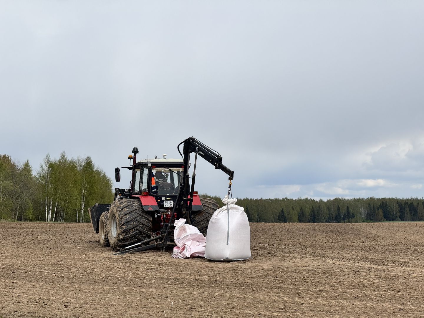 шаховская, северная ходьба, посевная,кукуруза,