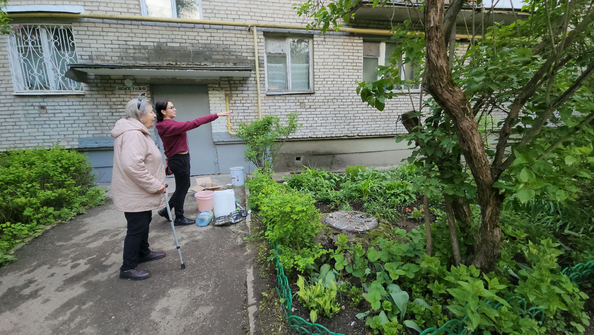 вертикалки, пушкино, цветник, клумбы у домов, жители,высадка, двор,
