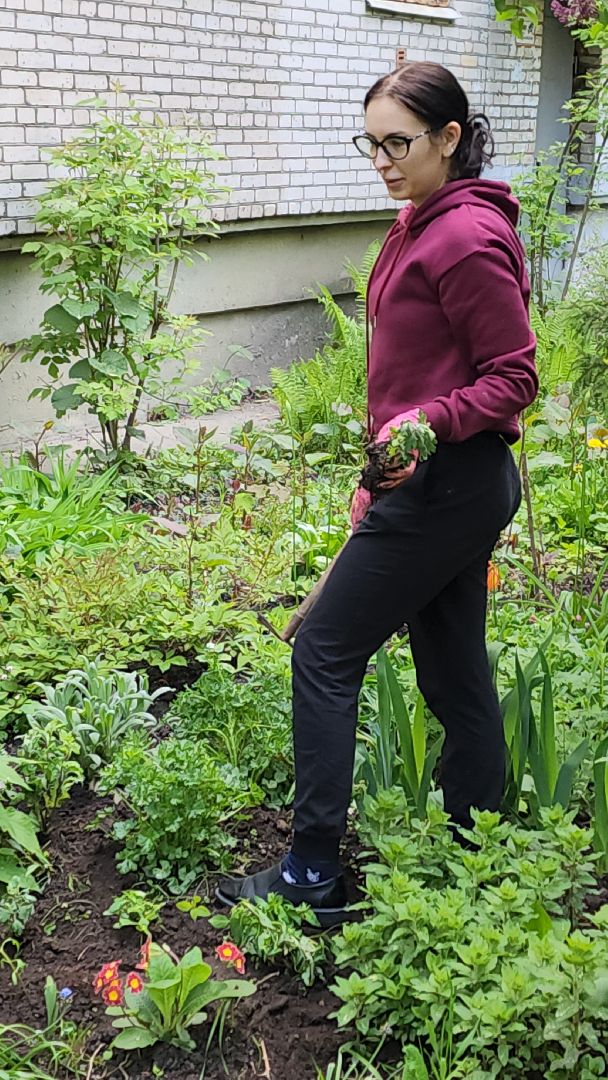 вертикалки, пушкино, цветник, клумбы у домов, жители,высадка, двор,