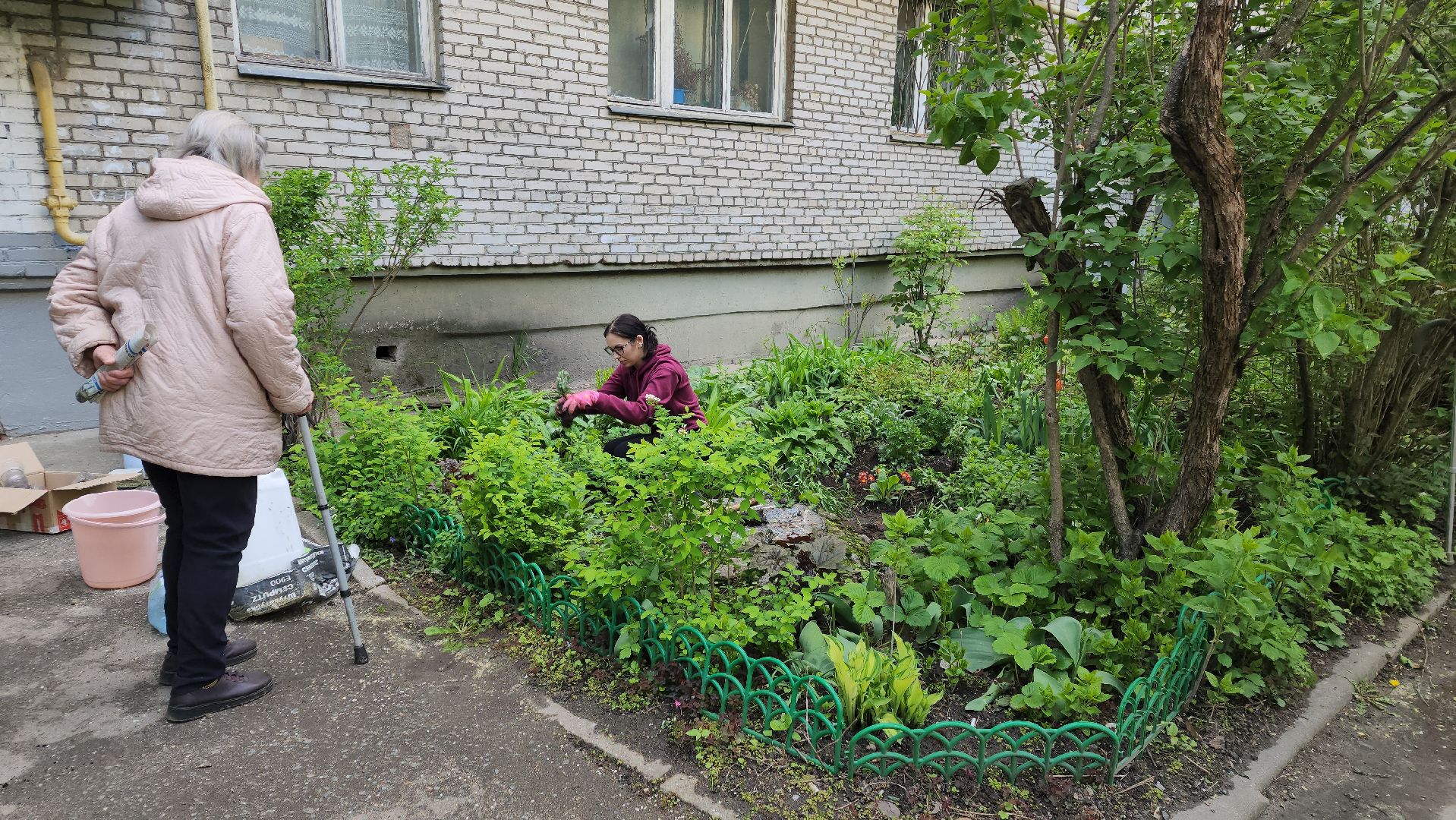 вертикалки, пушкино, цветник, клумбы у домов, жители,высадка, двор,